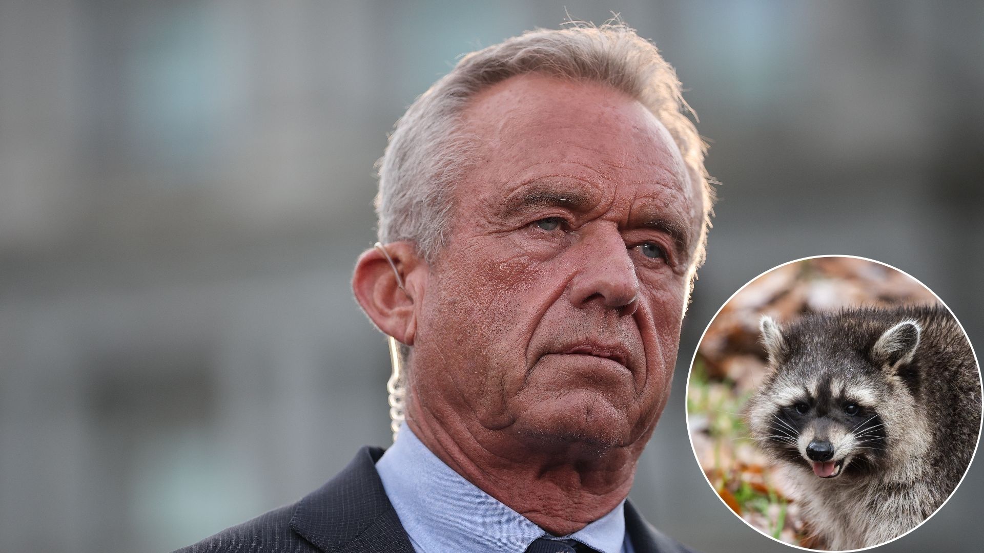 RFK Jr. Says He Cut Off Raccoon Genitals During Family Car Ride