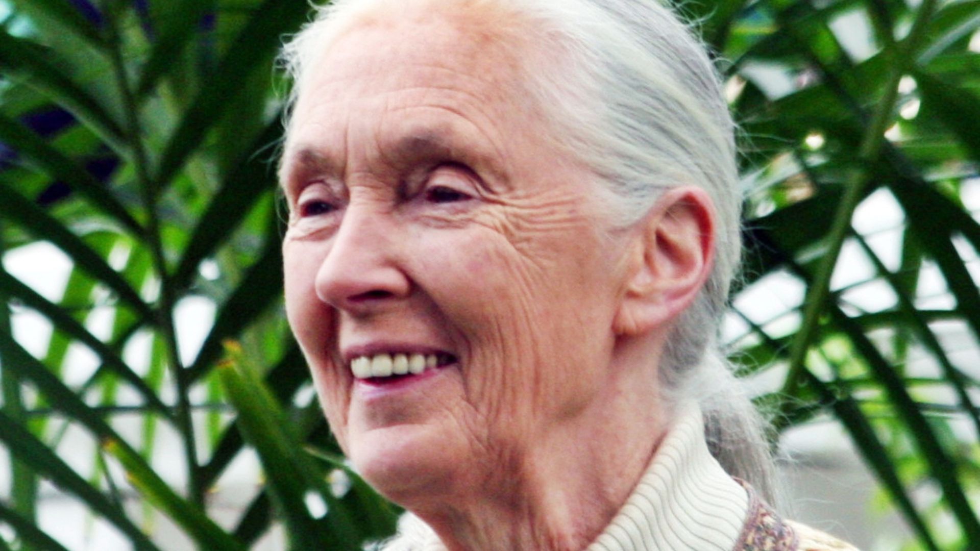 9. Jane Goodall
