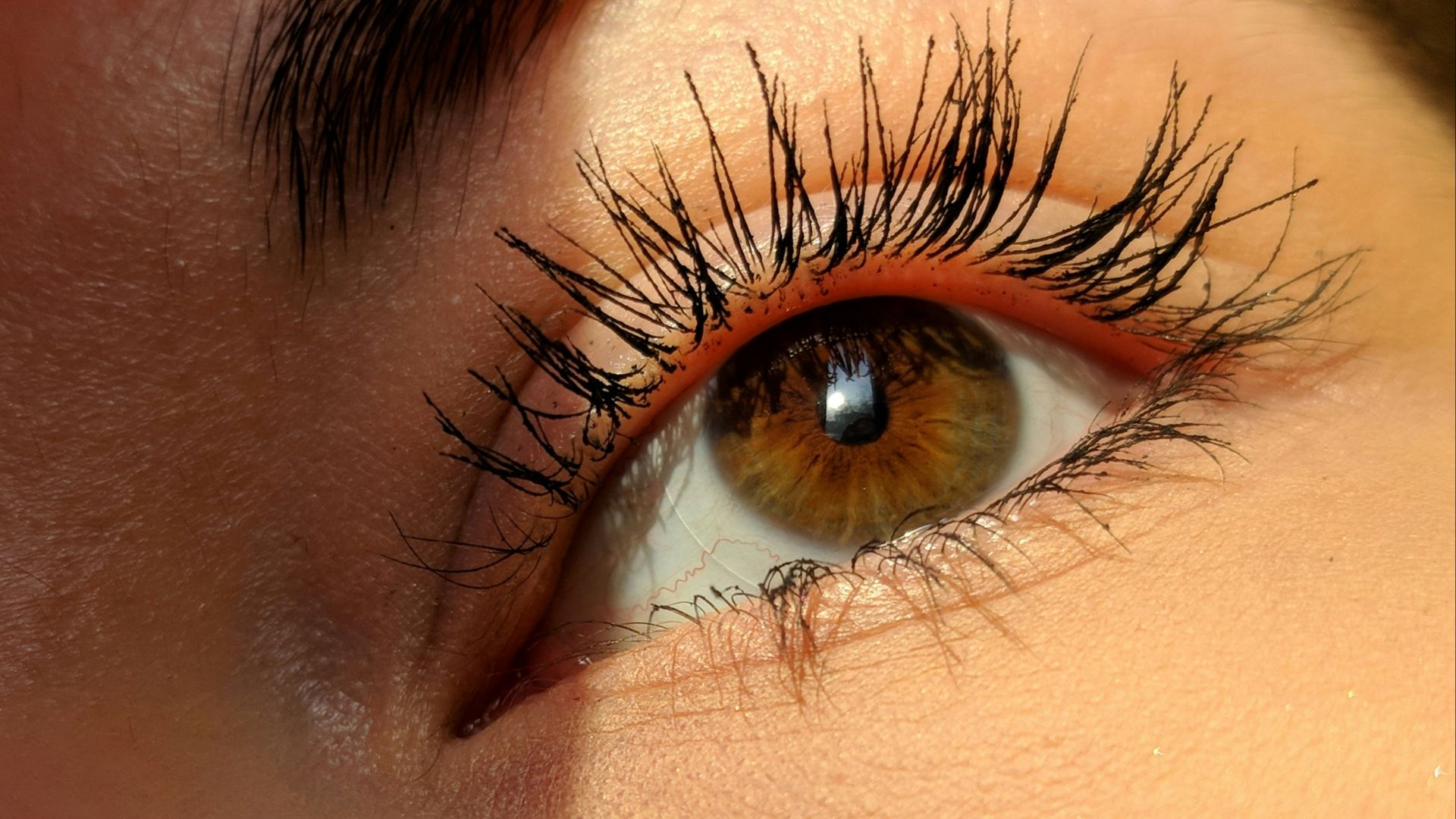 8. Définition des cils