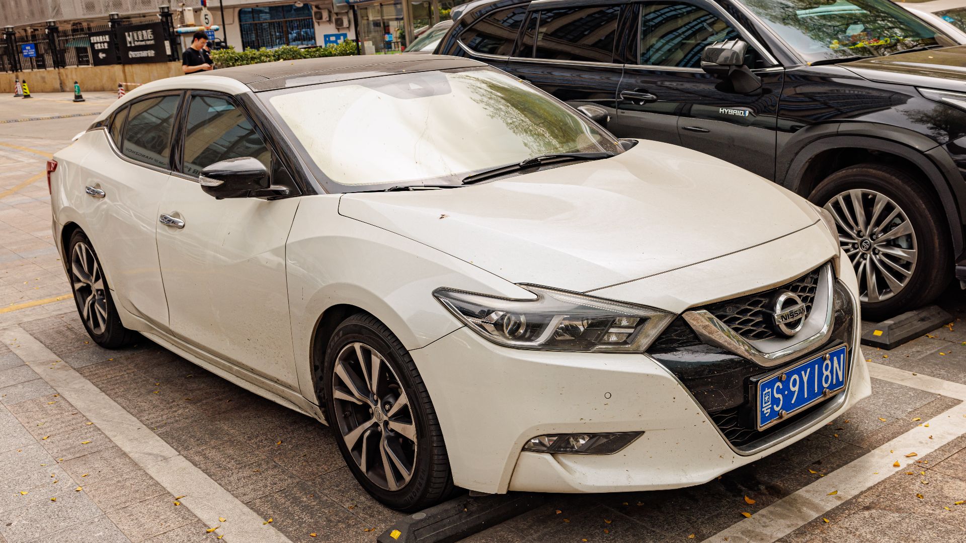 6. Maxima 2016-2023