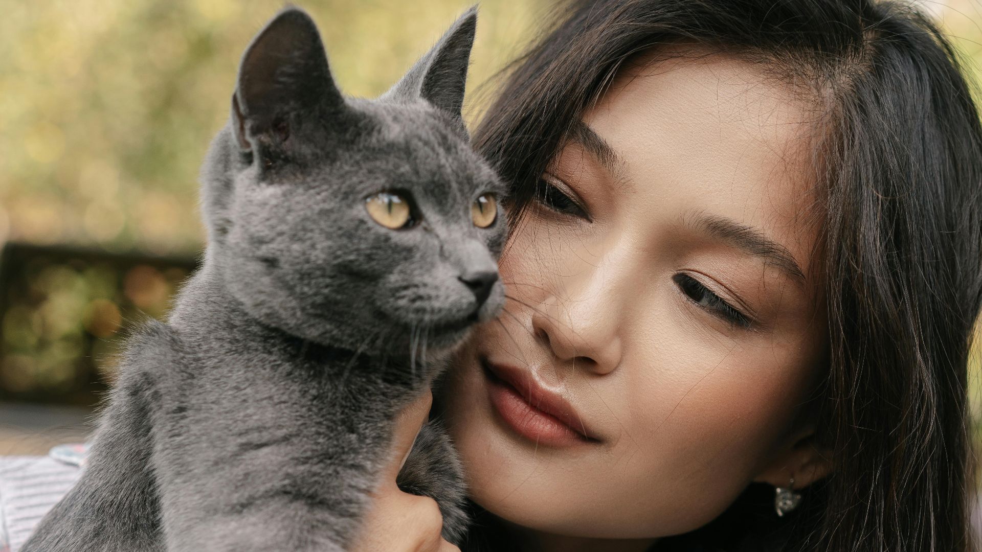 7. Les cartes de vœux mettent les chats à l'honneur