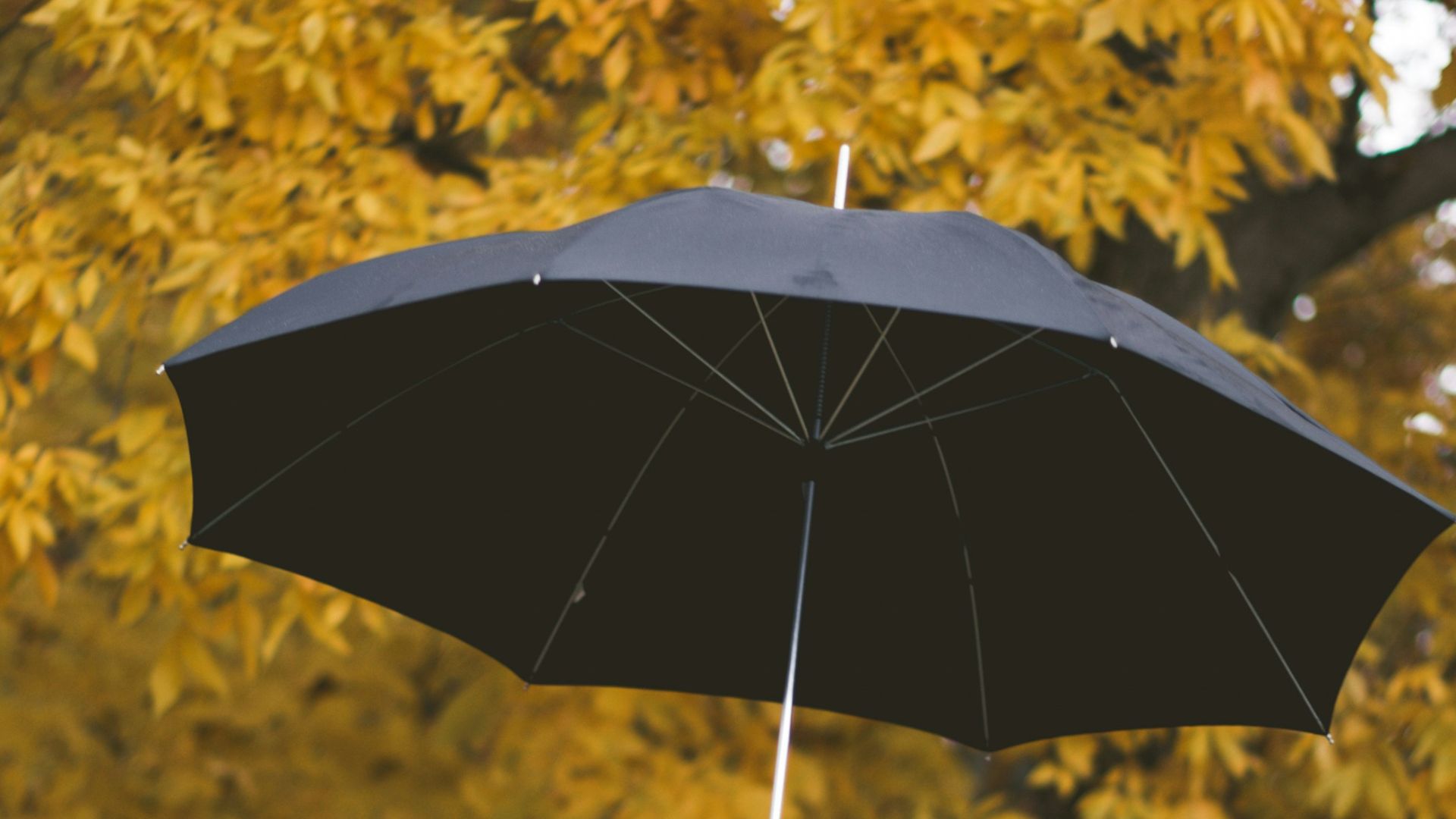 12. Les parapluies dans les vide-poches des portières
