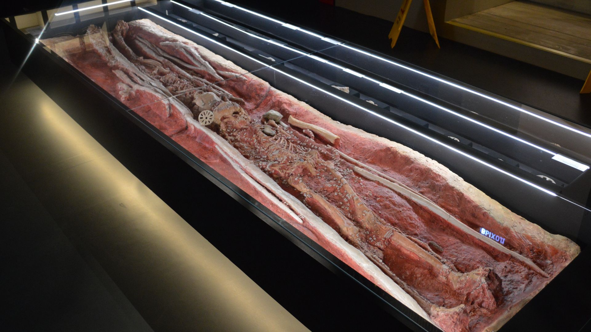 11. Les enfants de Sungir, Russie