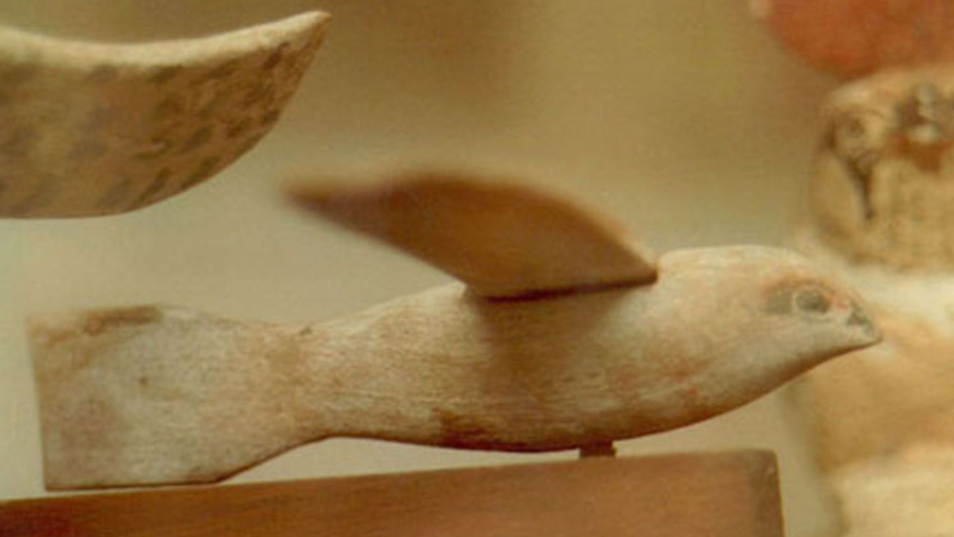 5. L'oiseau de Saqqarah