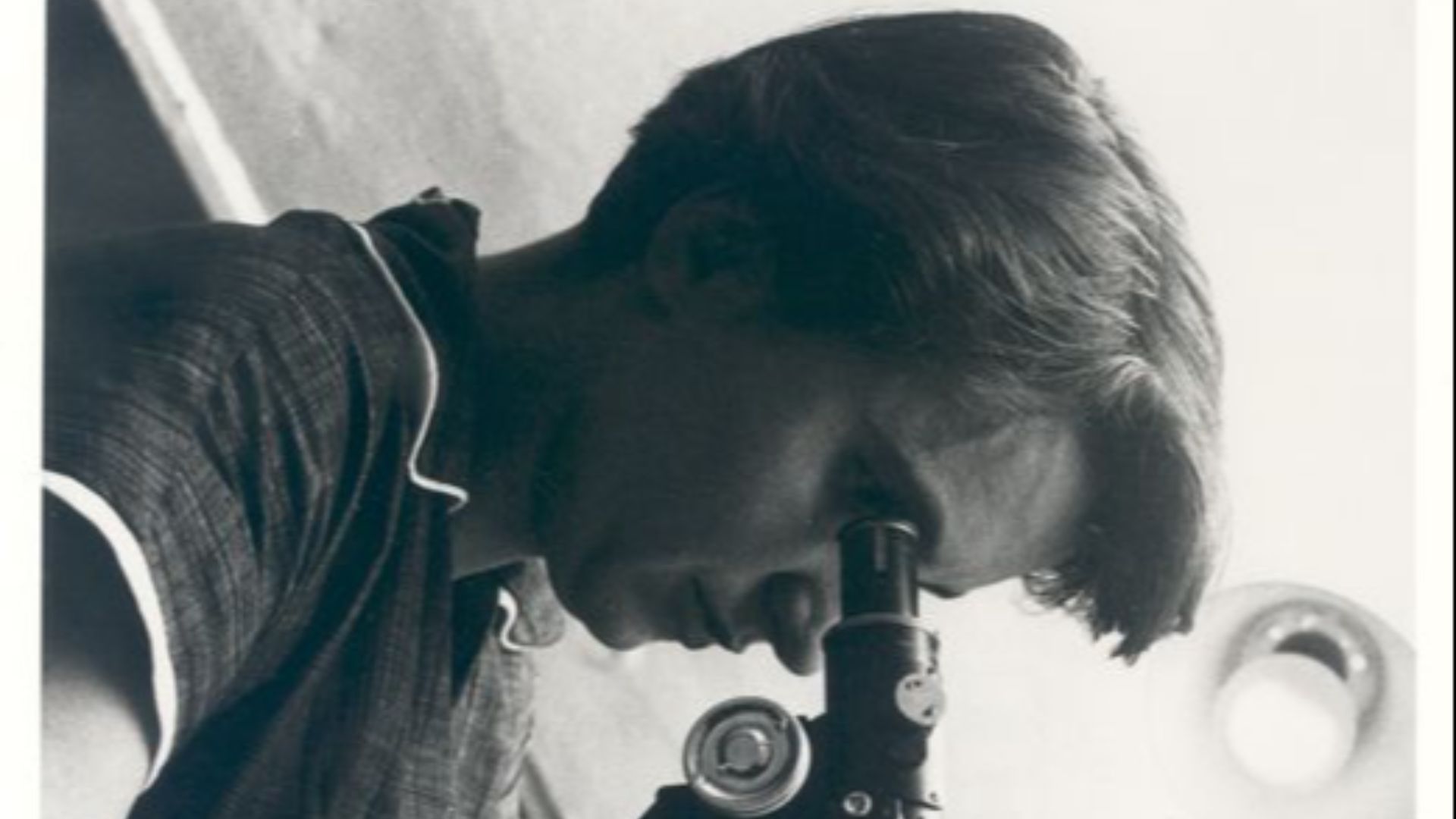 20 esprits brillants que l'histoire a oubliés