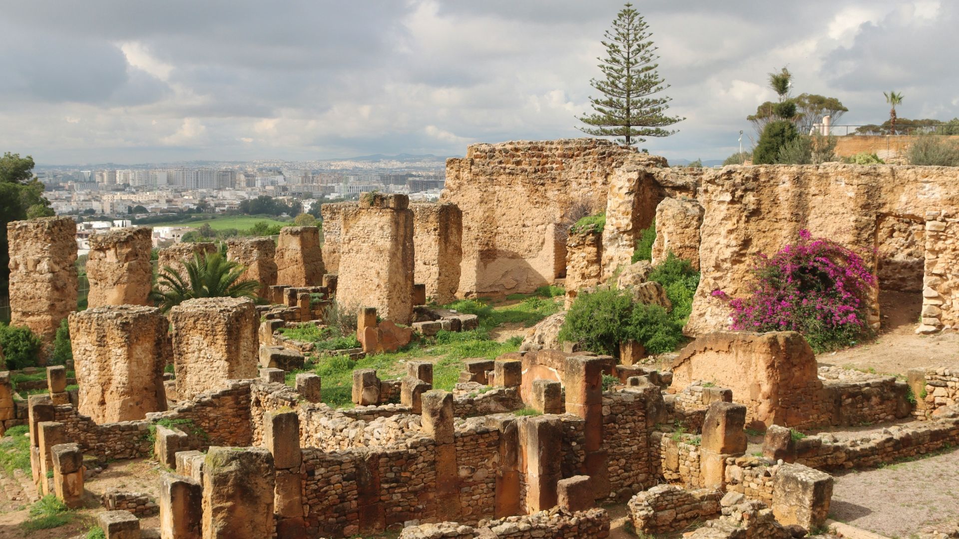 17. Le siège de Carthage