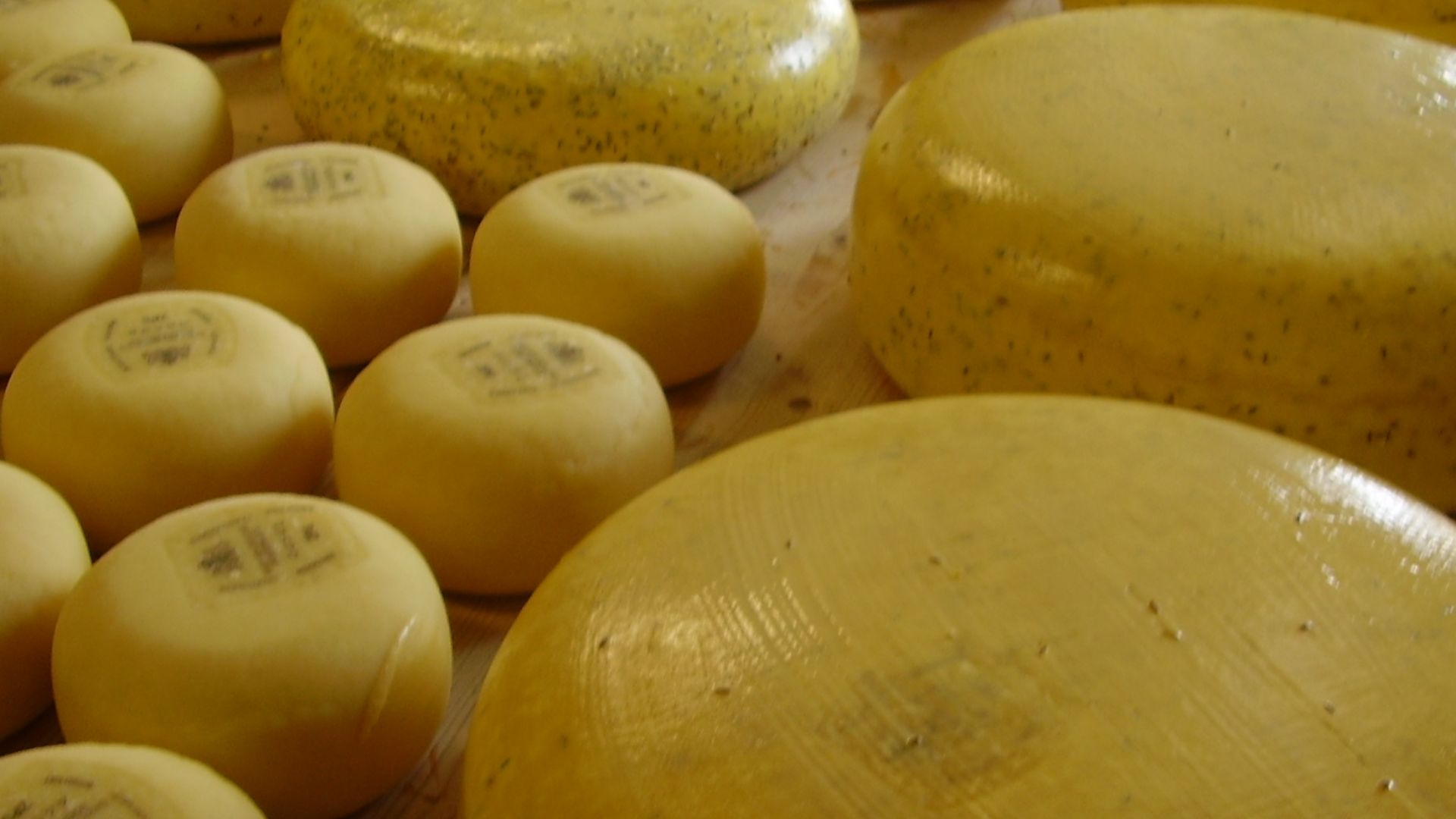 9. Gouda doux