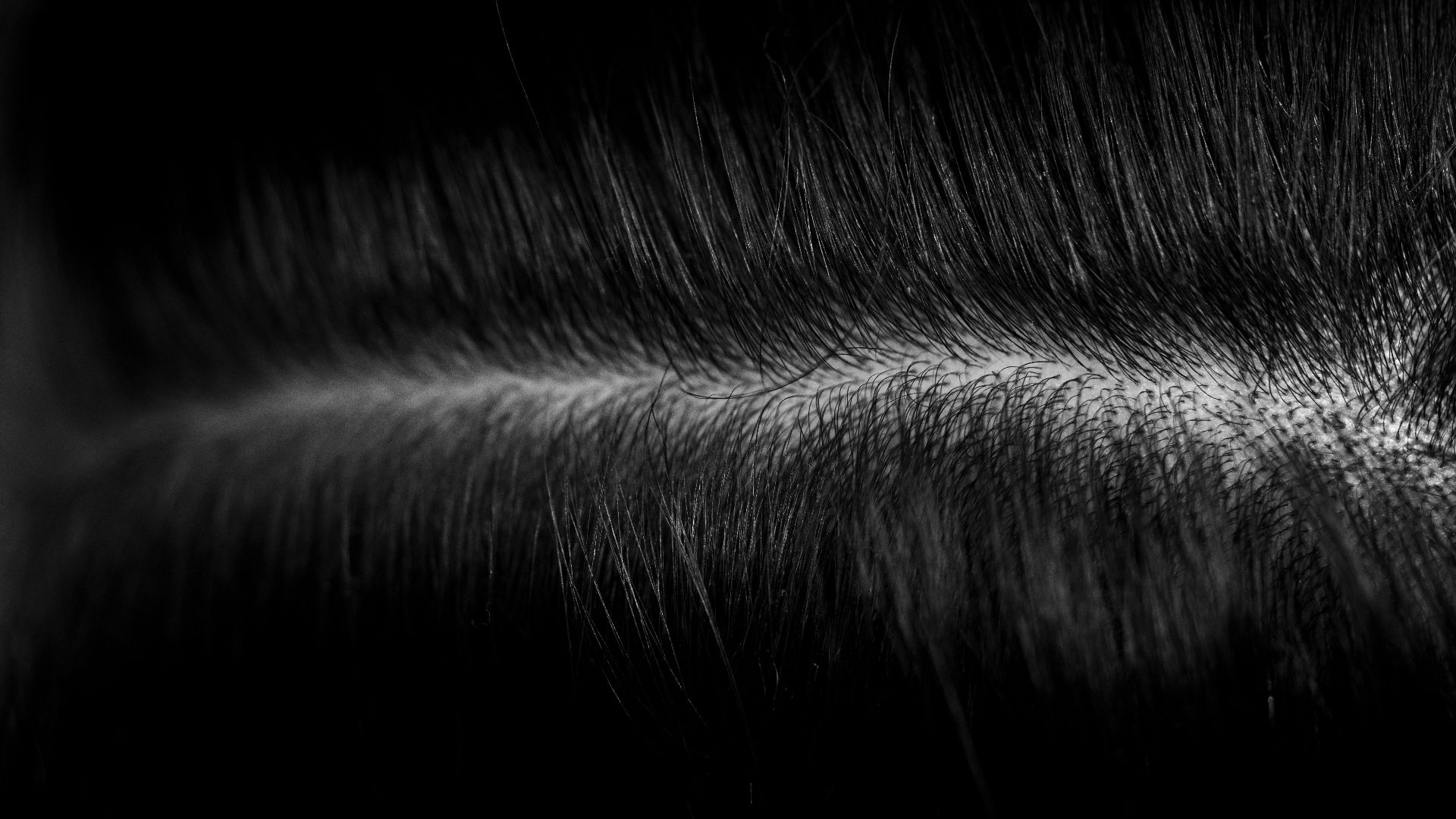 2. Soin ciblé du cuir chevelu