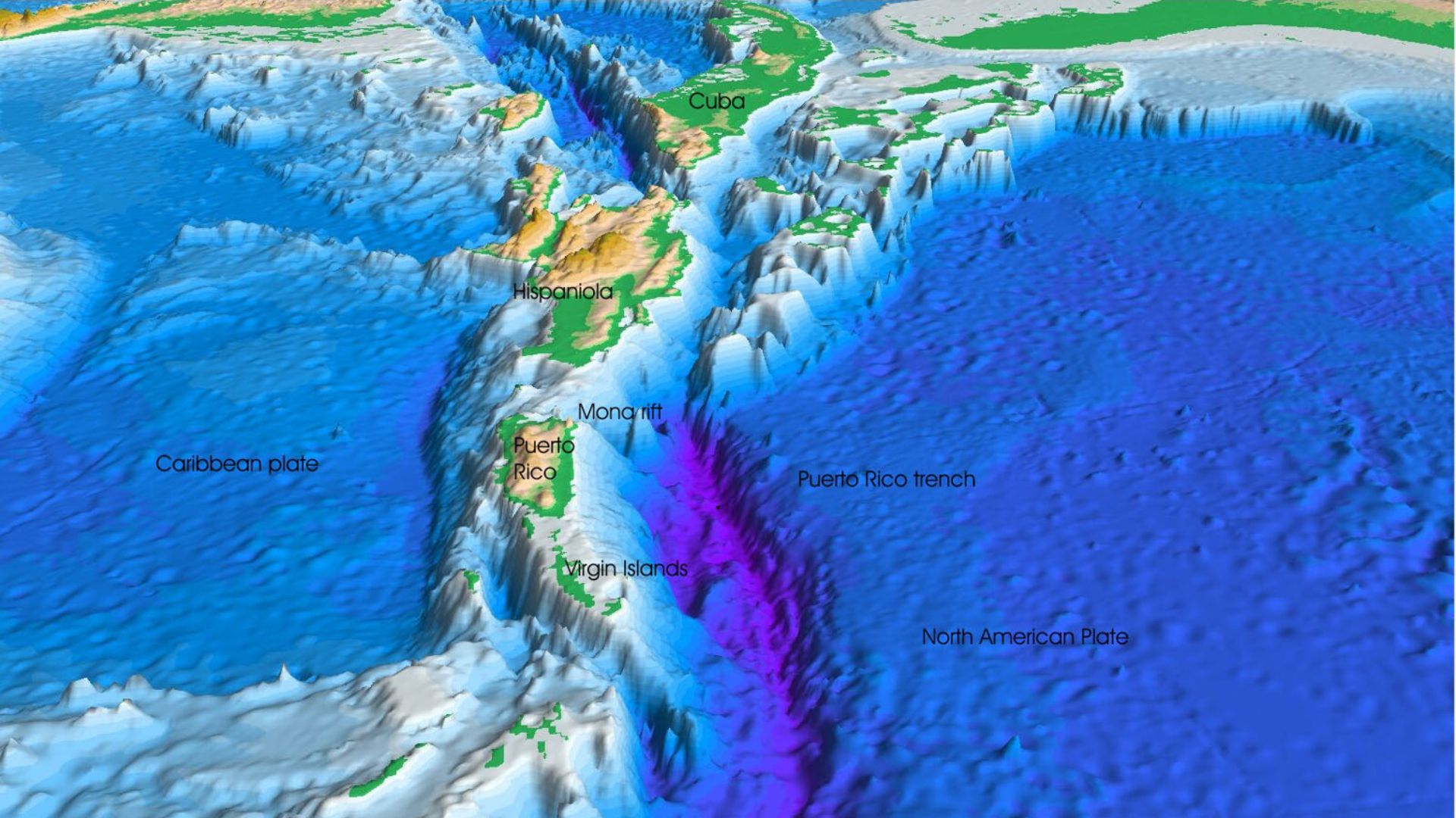 7. Le sonar et les fonds marins