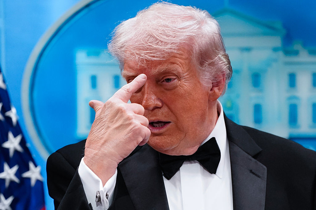 Republican's target domestic services