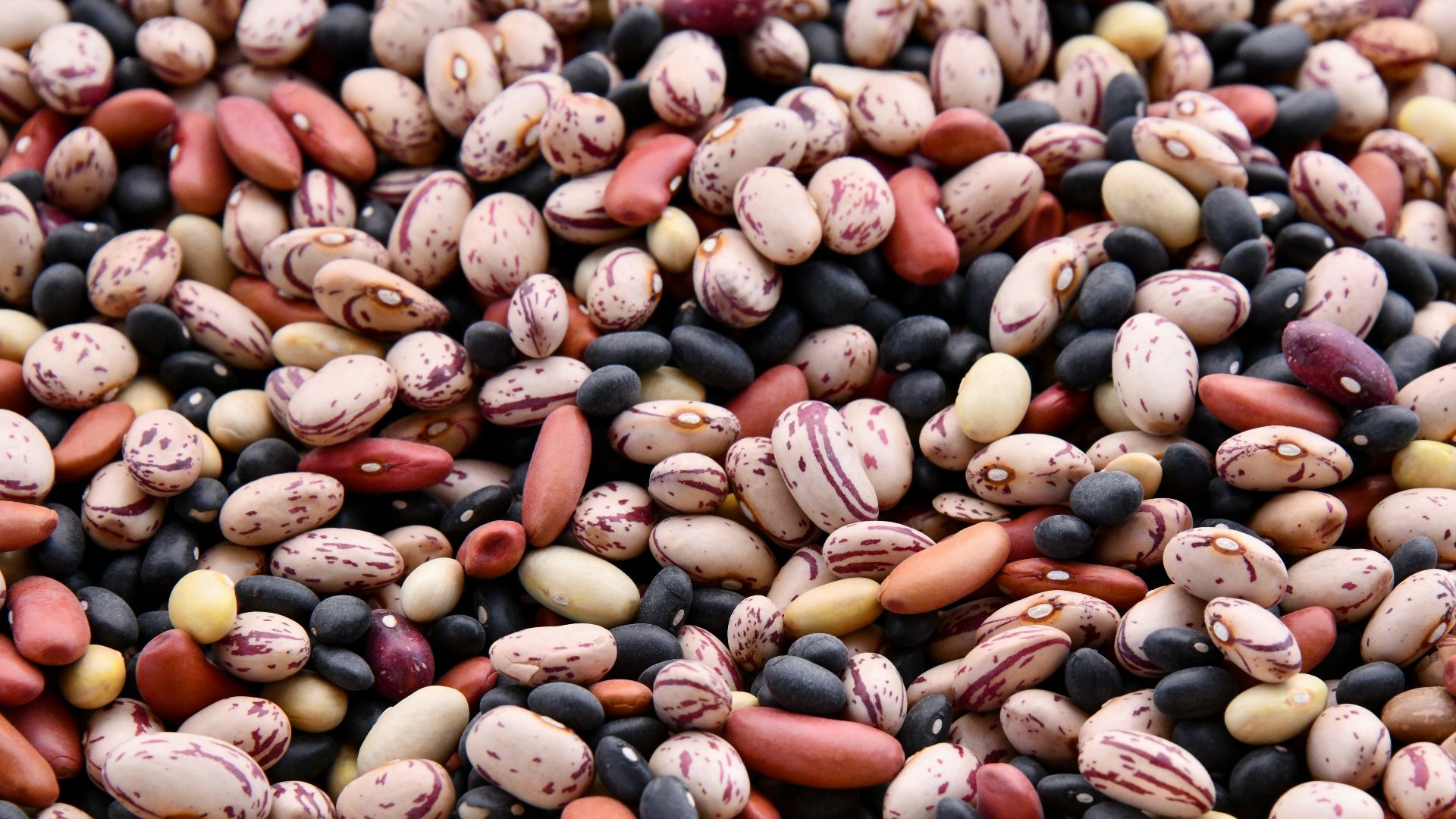 6. Haricots