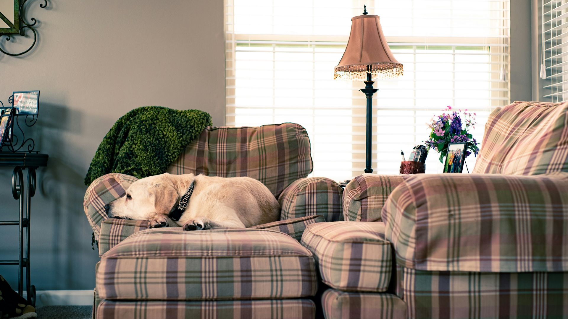 13. Fauteuils inclinables surdimensionnés ou sièges moelleux