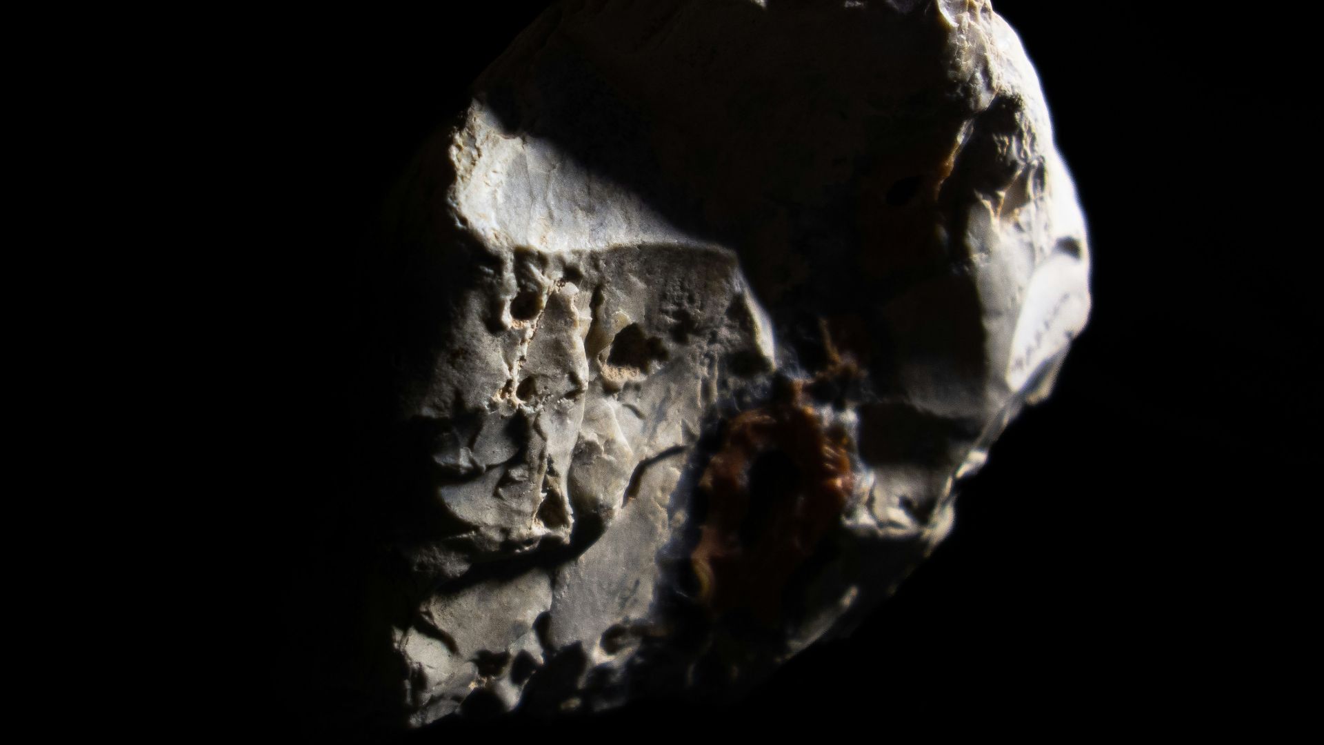 20. Le visage fossile de Gona