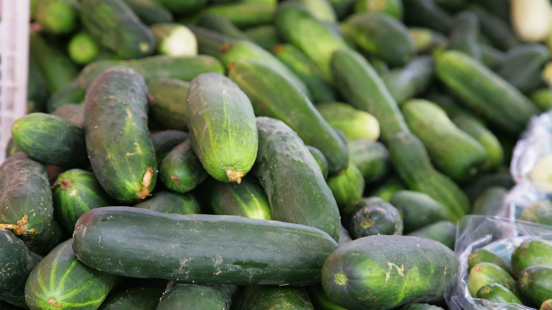 7. Consommez des aliments riches en eau