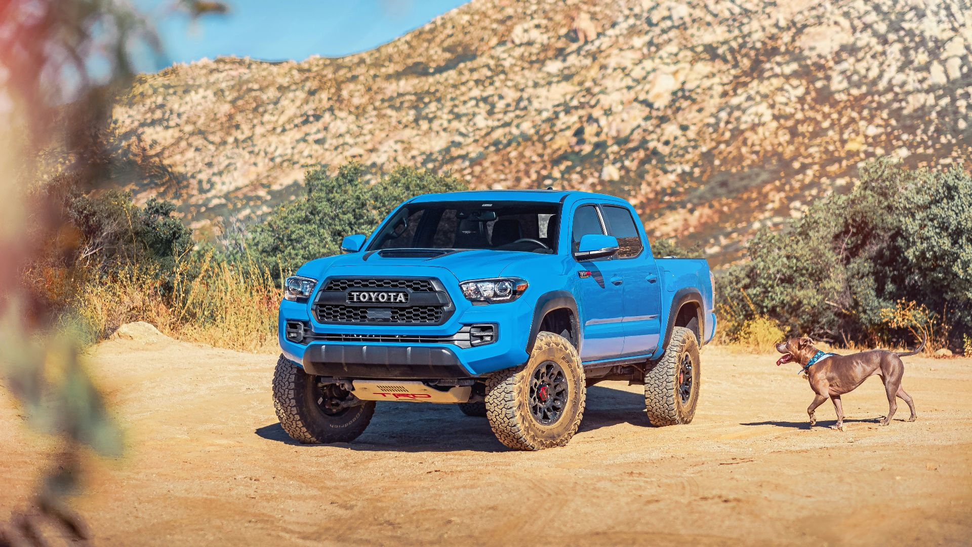 11. Toyota Industries et la certification des moteurs diesel