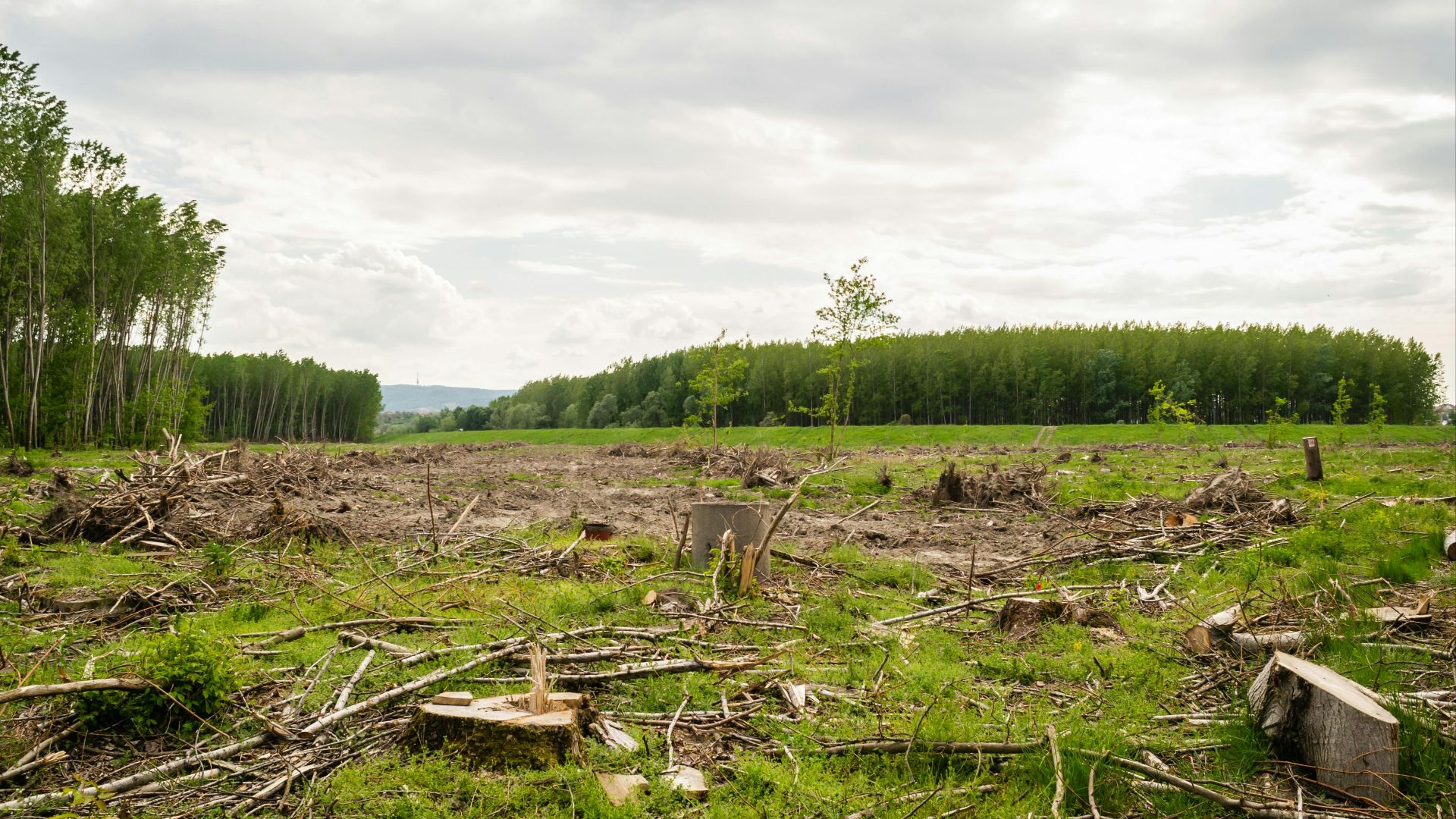 16. L'agriculture a subi un coup dur