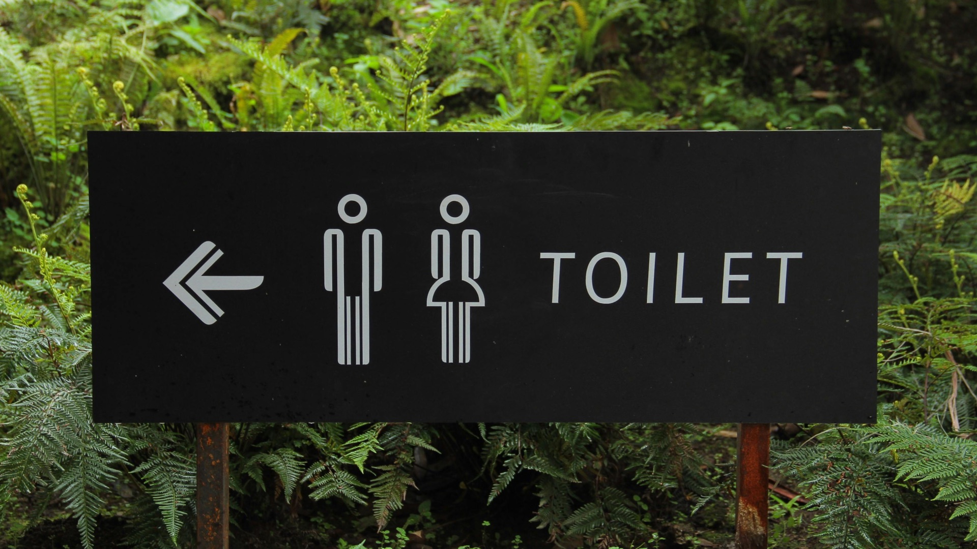 5. Supplier de s'arrêter aux toilettes après avoir dit qu'ils n'avaient pas besoin d'y aller