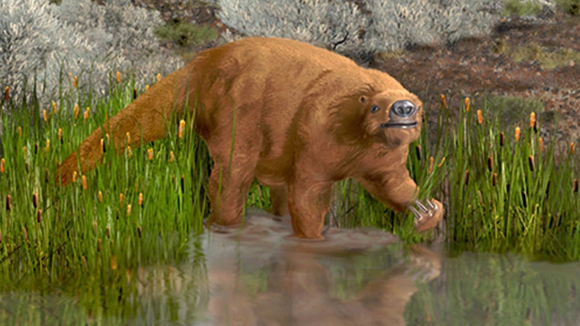 4. Paresseux géant terrestre