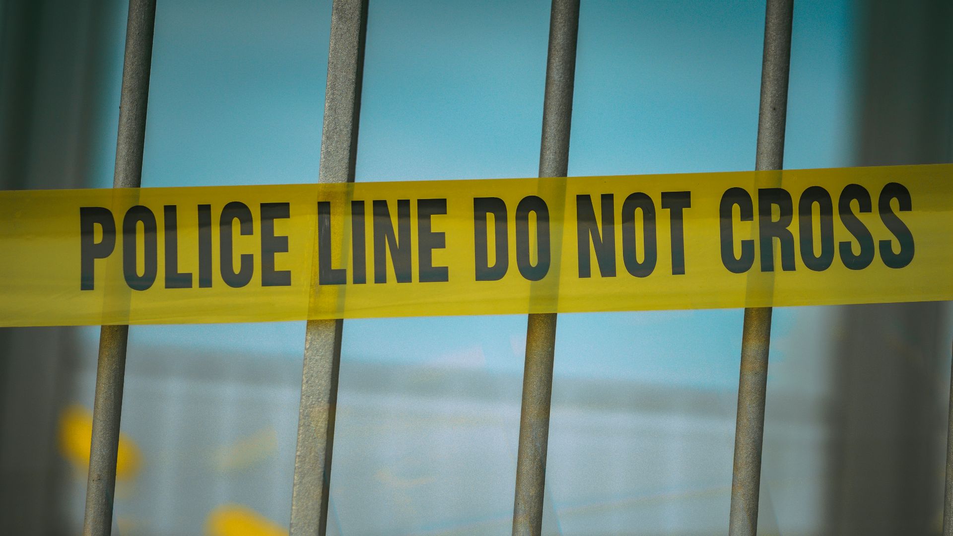 14. Les grenouilles disparues de São Paulo