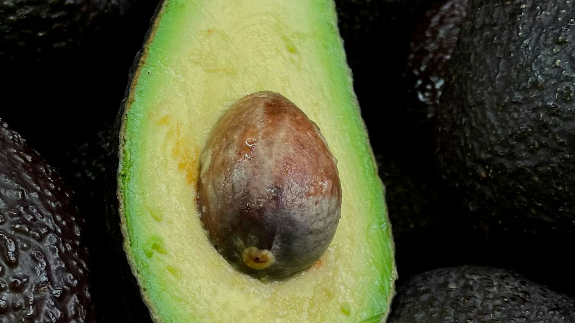 5. Les avocats et les graisses monoinsaturées