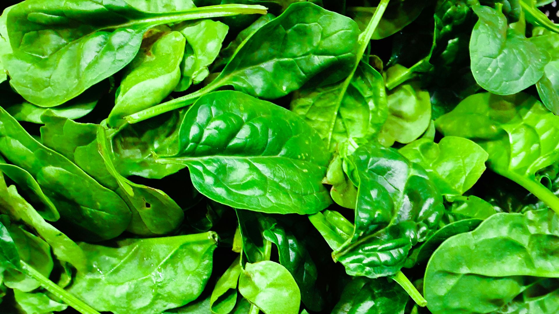 14. Mangez plus de légumes verts