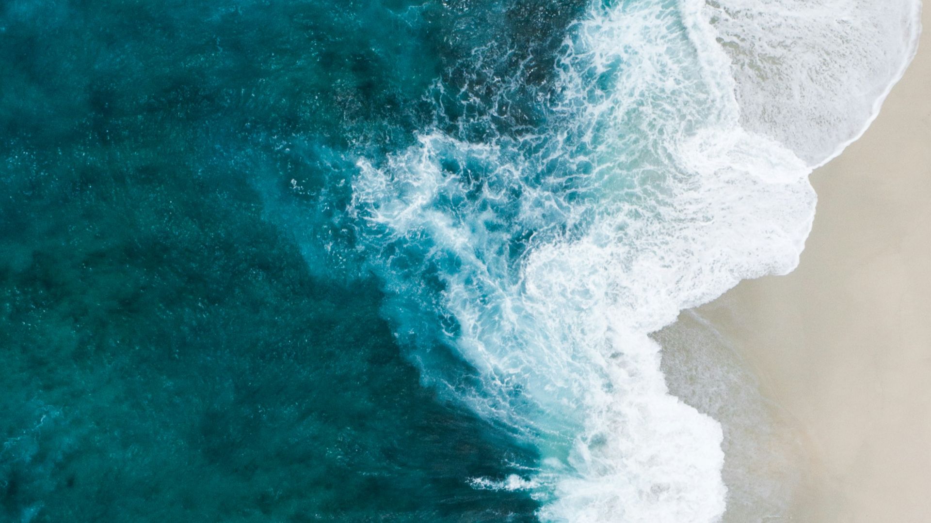 6. Le premier monstre marin géant