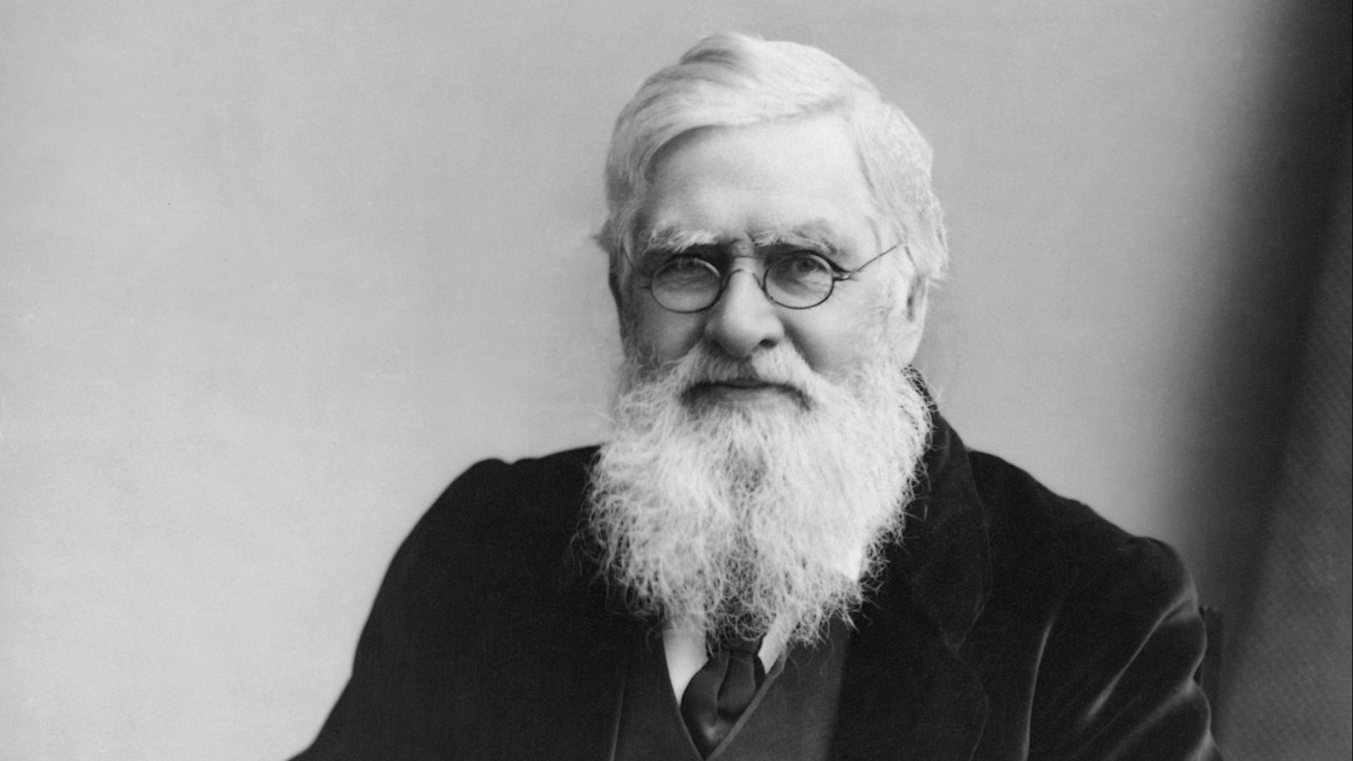 10. Alfred Russel Wallace et la sélection naturelle