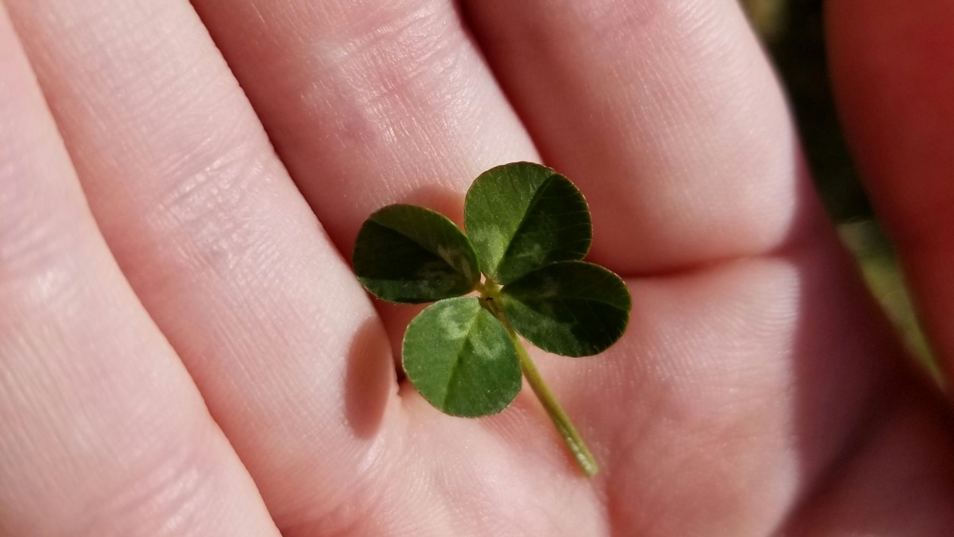 19. À l'affût des premières fois porte-bonheur et malchanceuses