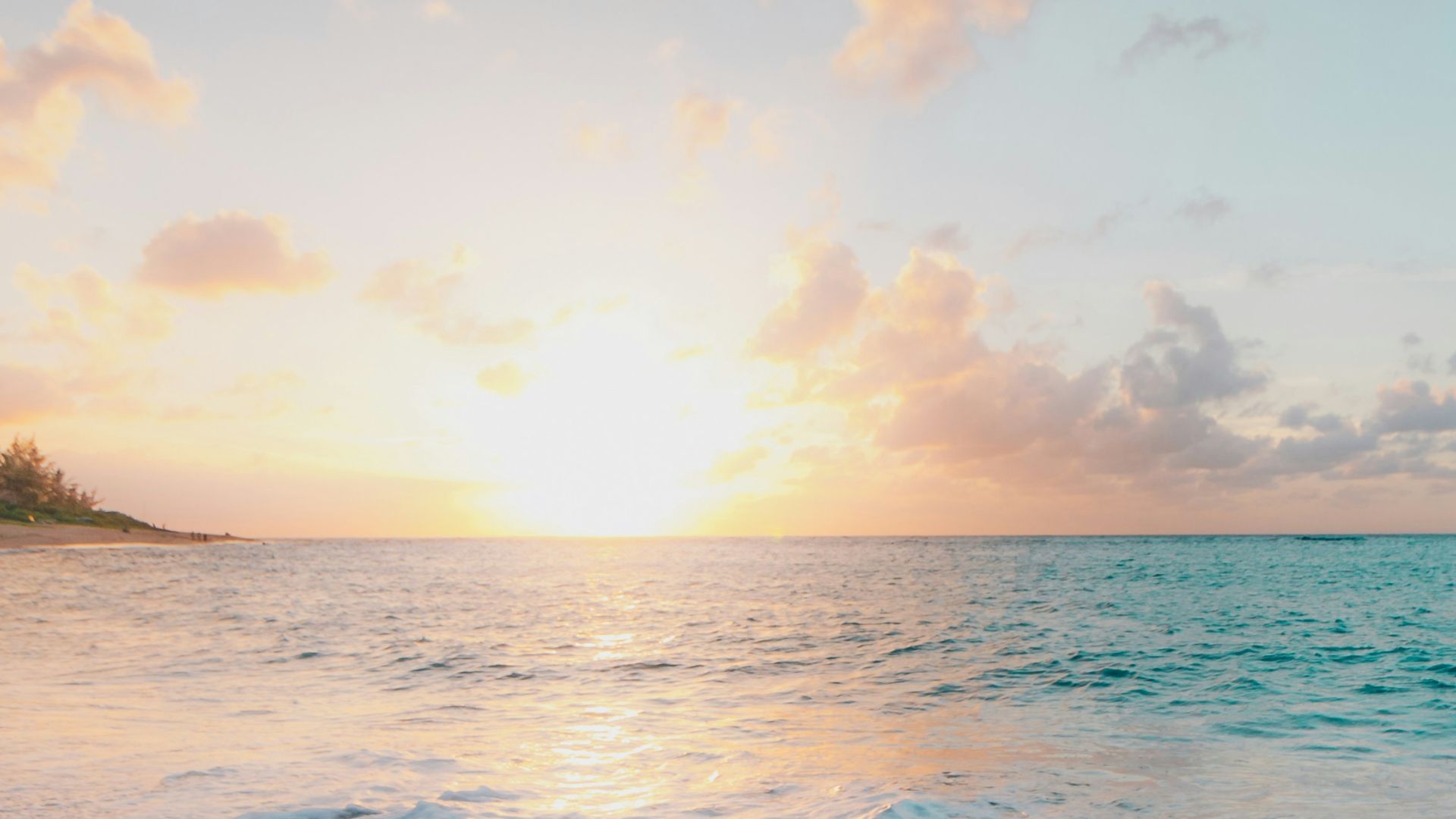 12. L'année sans été