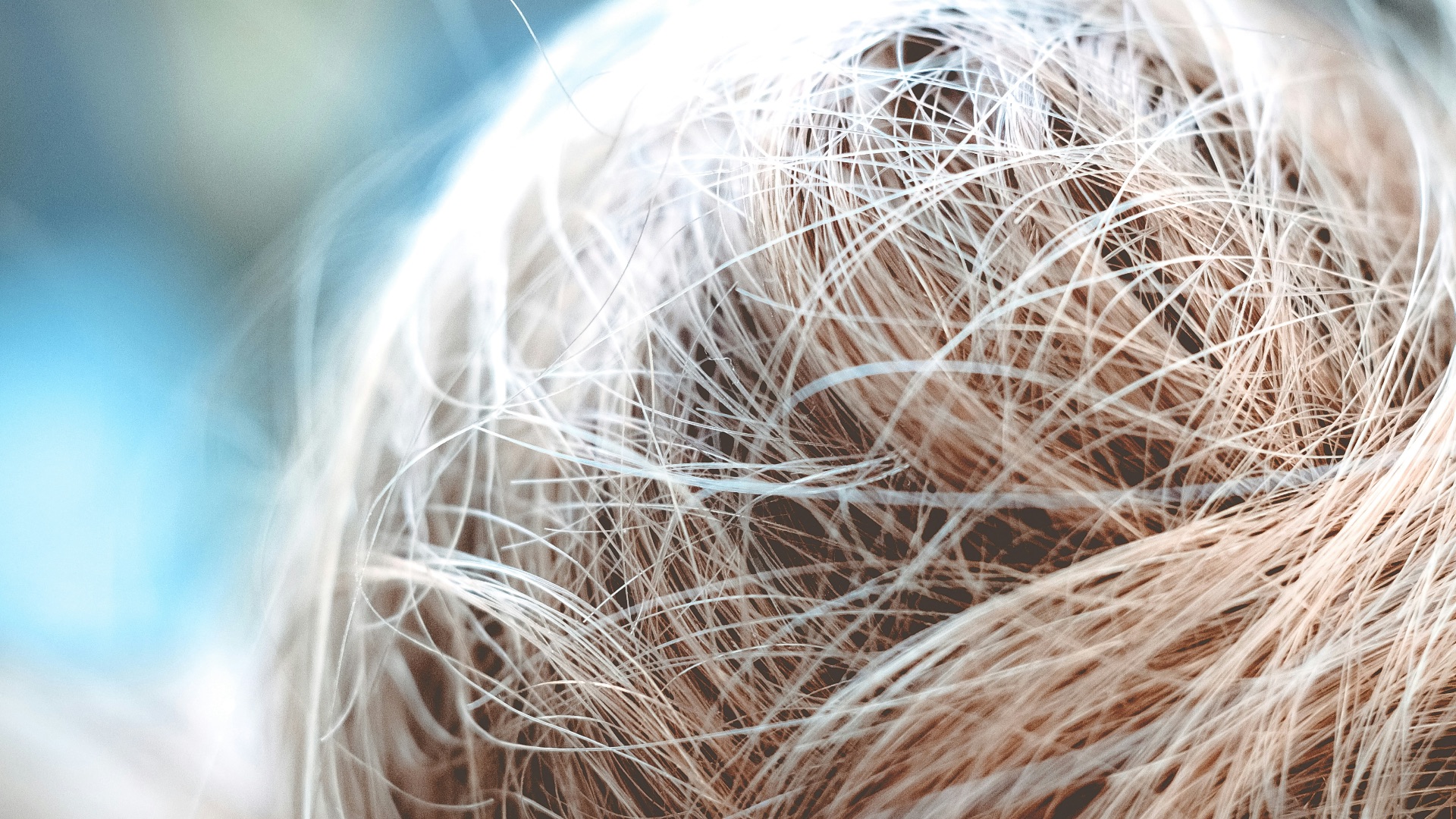 1. Vos cheveux sont secs, quel que soit le produit que vous utilisez