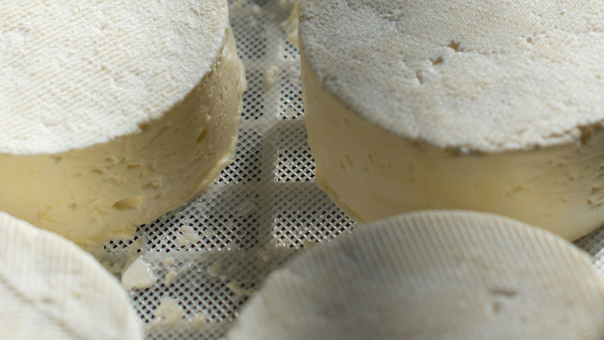 11. Fromage frit Globi