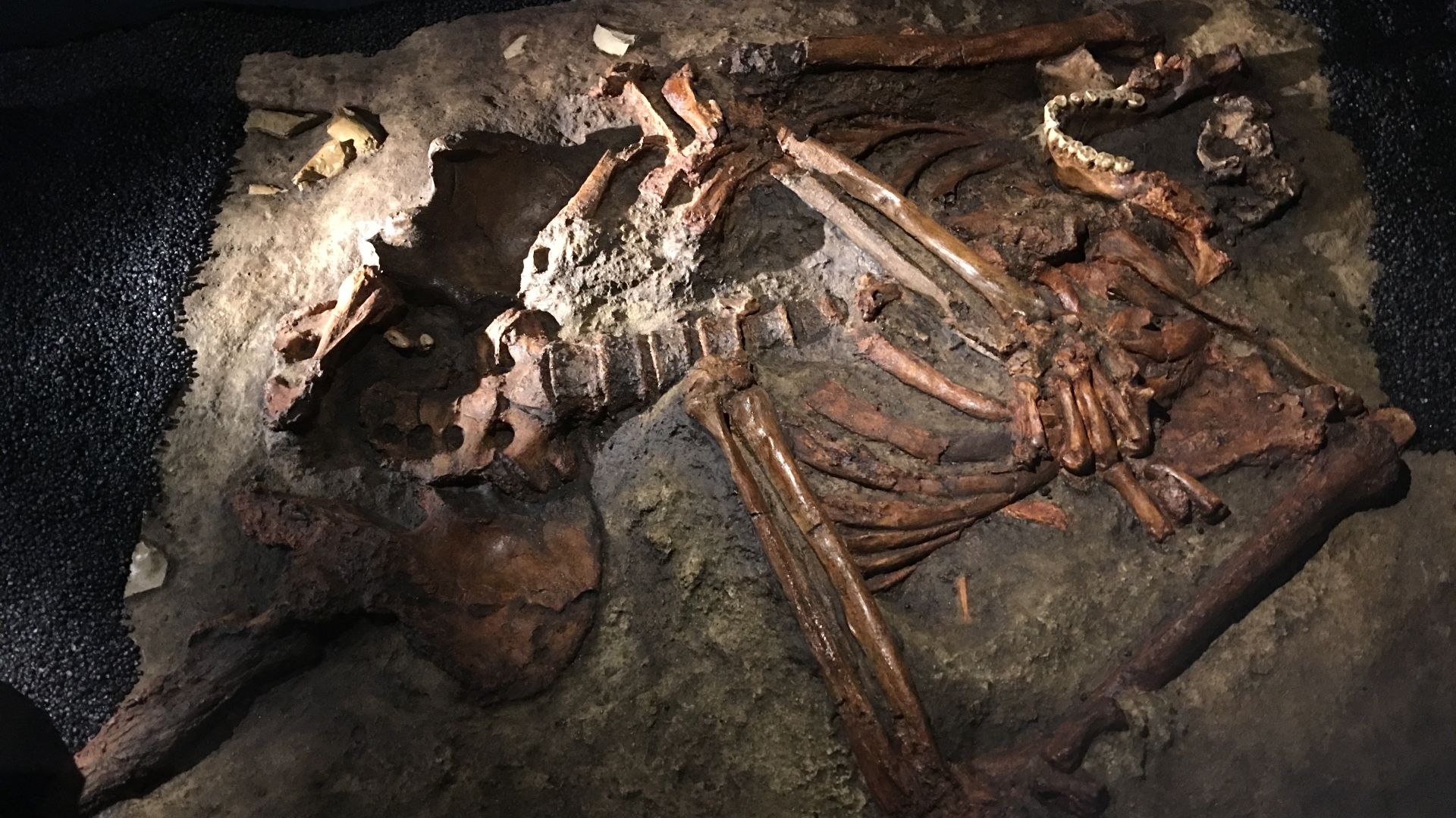 19. La grotte de Kebara, en Israël