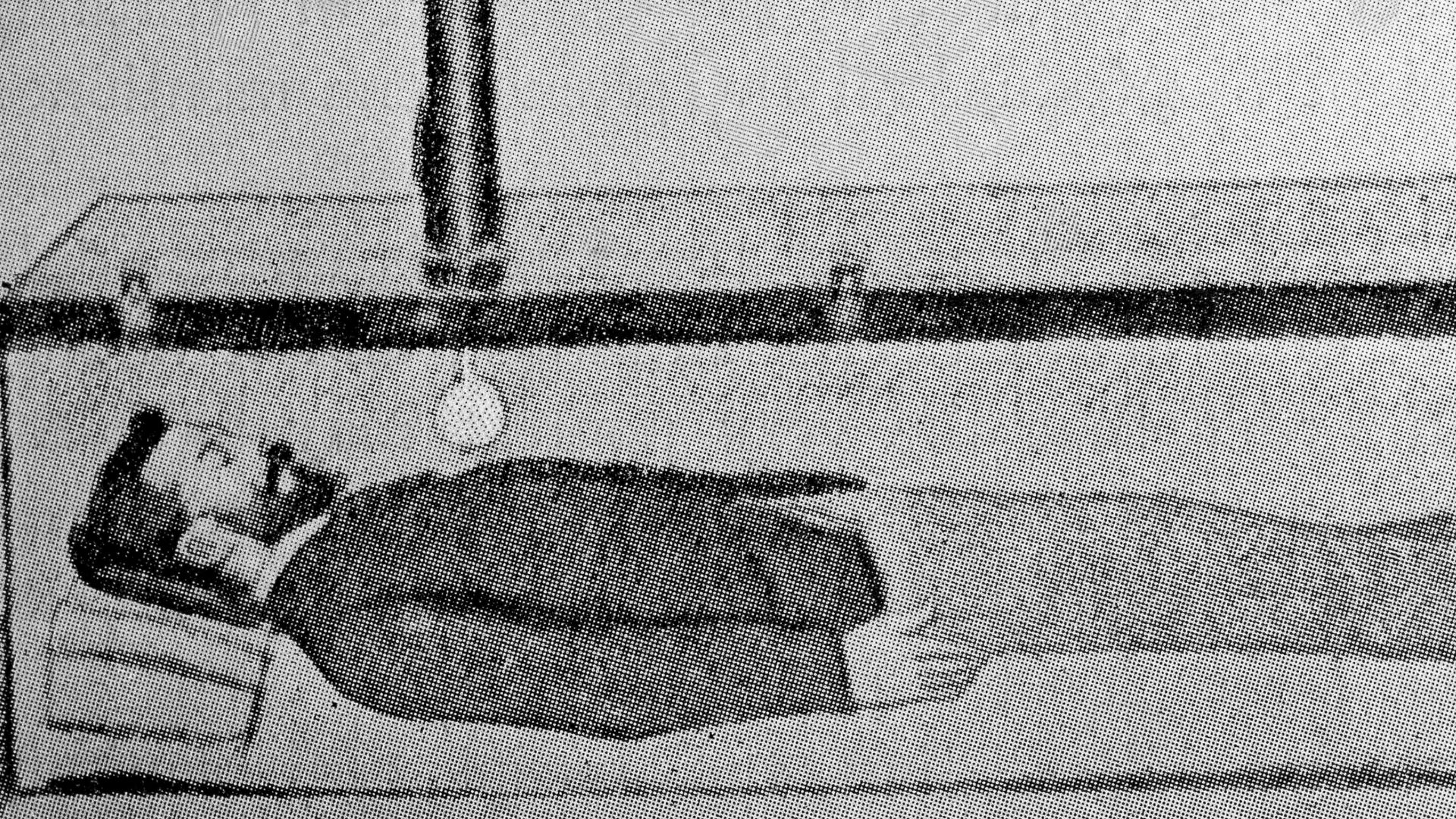 18. Le comte Karnice-Karnicki