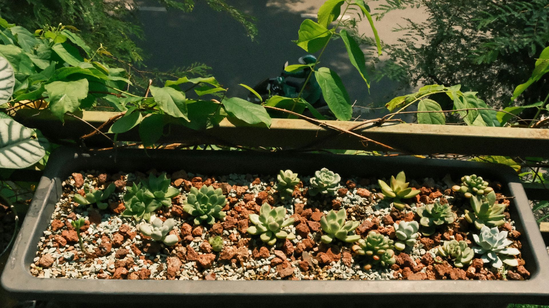 9. Aménagez un petit jardin ensemble