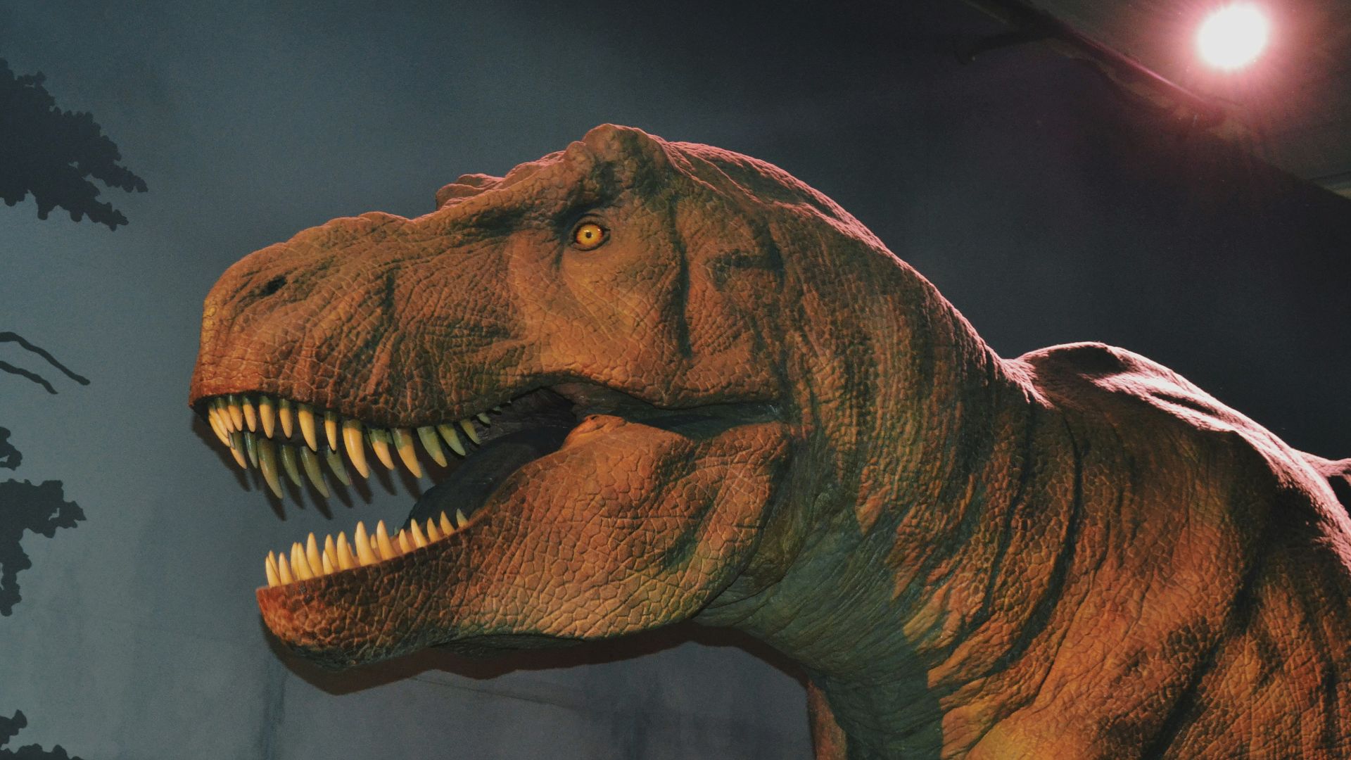 20 découvertes récentes sur les créatures préhistoriques