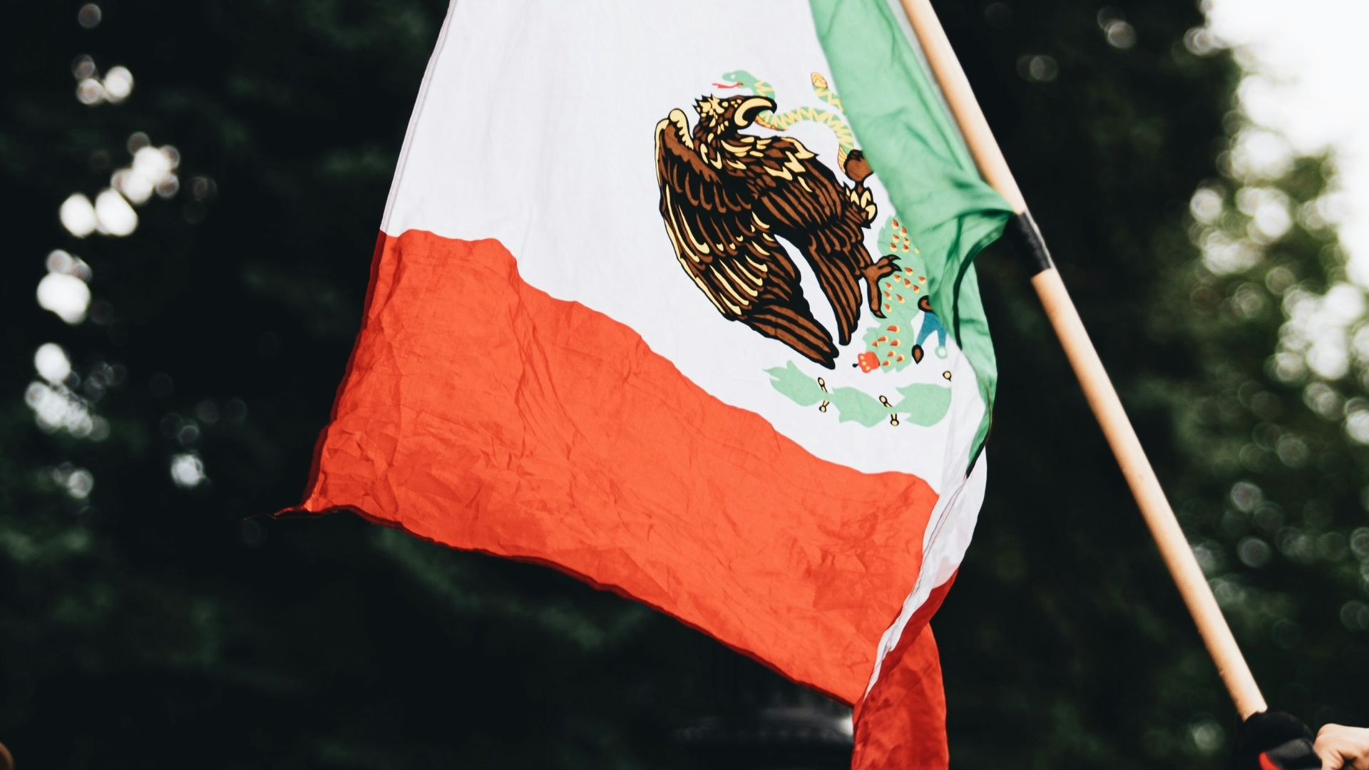 20. Wenceslao Moguel