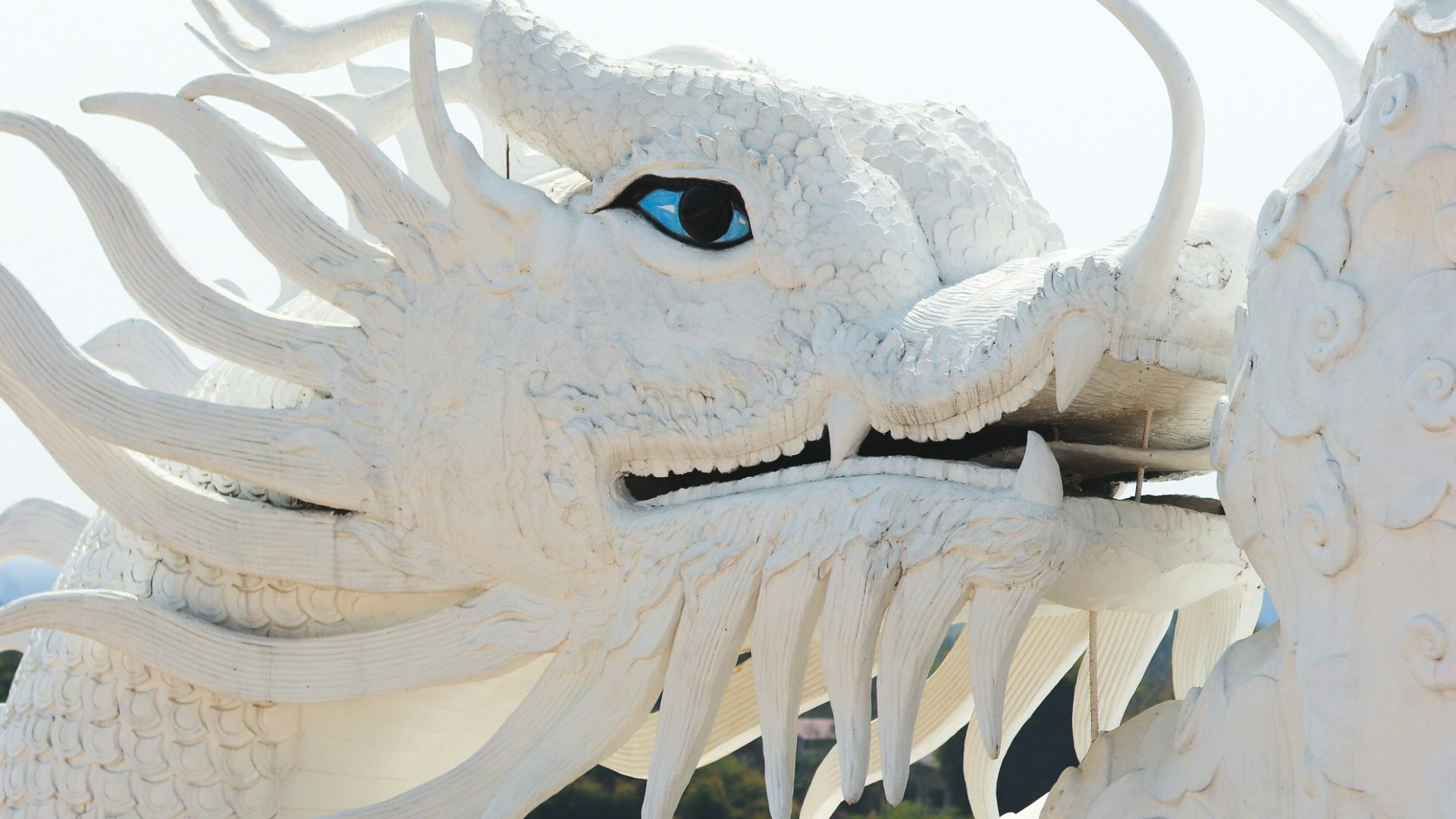 4. Les bestiaires classaient les dragons aux côtés des animaux réels