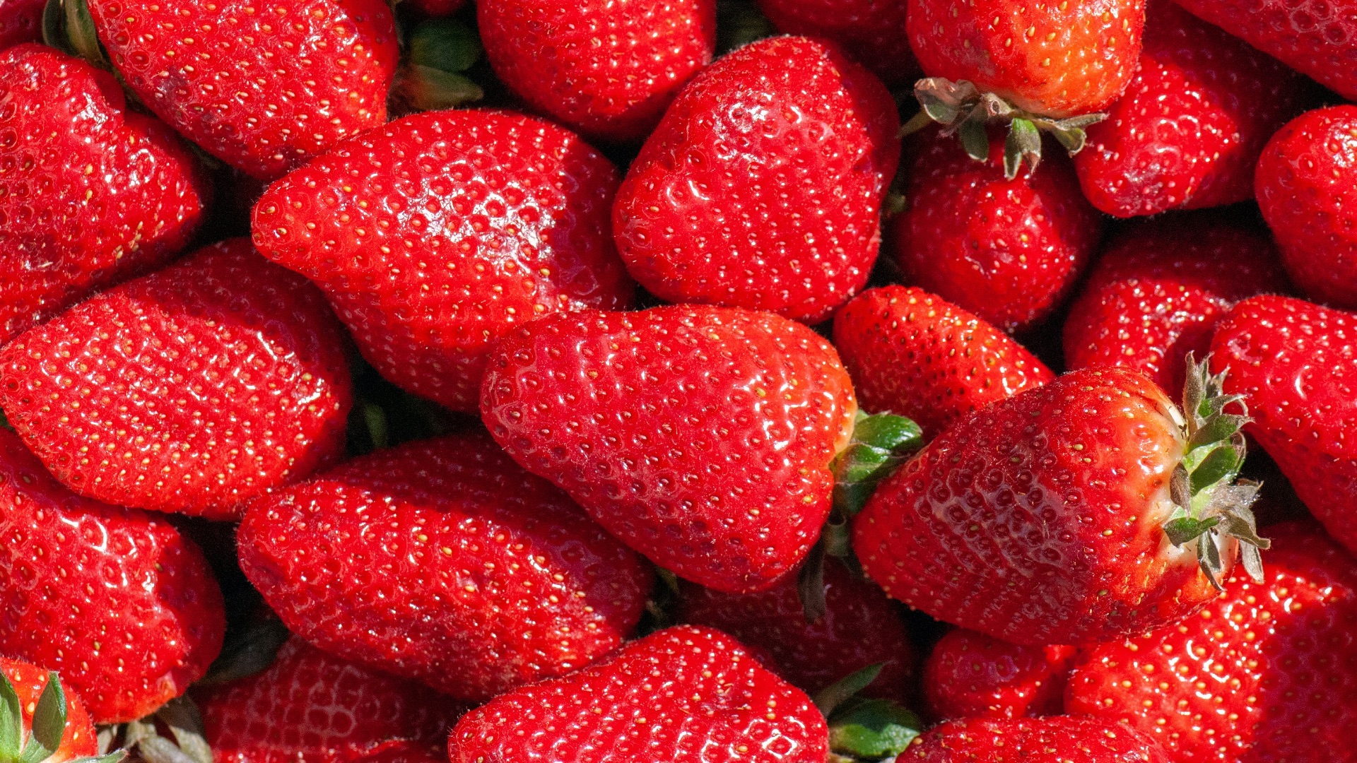 9. Les fraises et la panique du sucre
