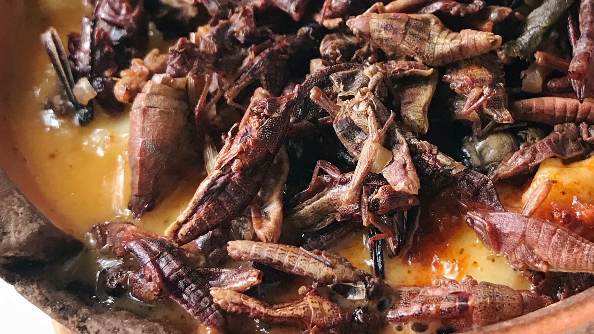 7. Chapulines (Mexique)