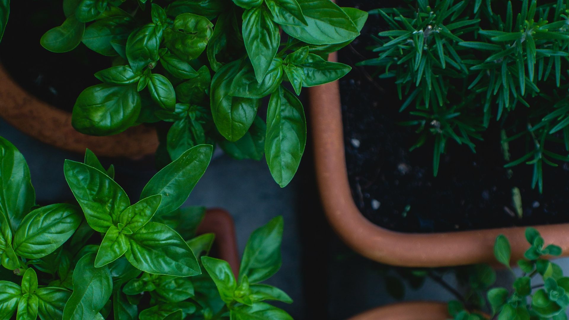 17. Ajoutez des herbes pour une saveur délicate