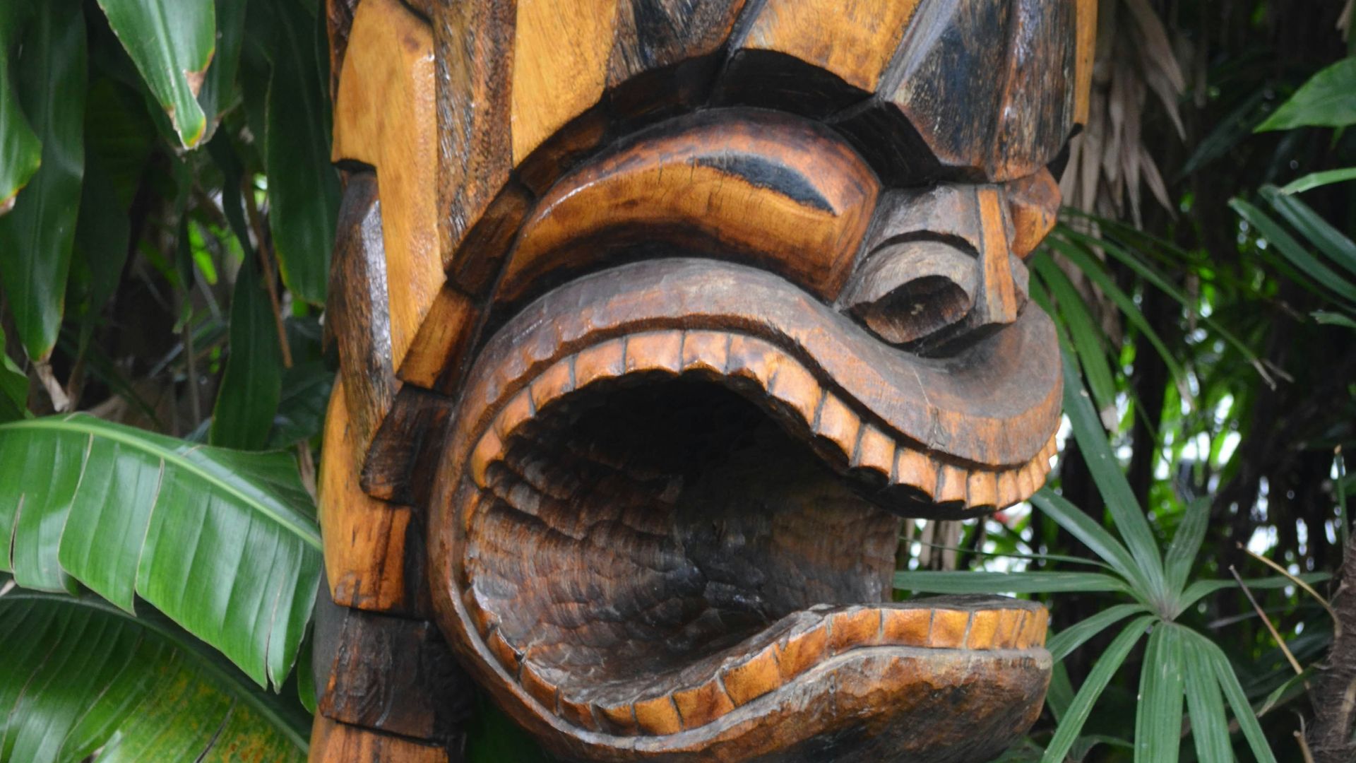 9. Le mythe maori de Maui