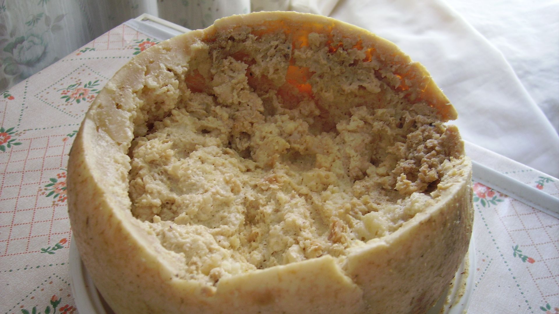 7. Casu Marzu