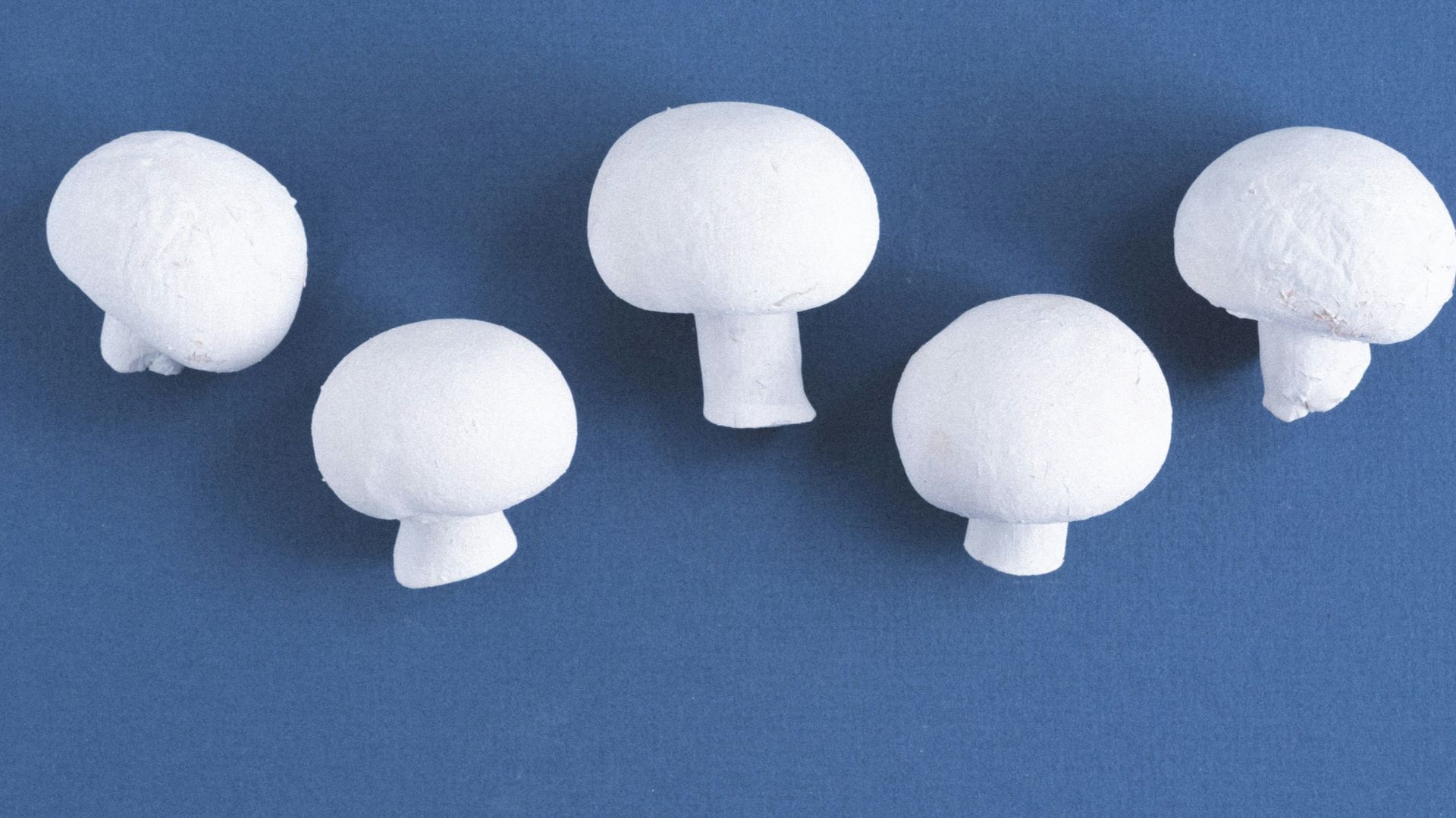 14. Champignons qui ne brunissent pas