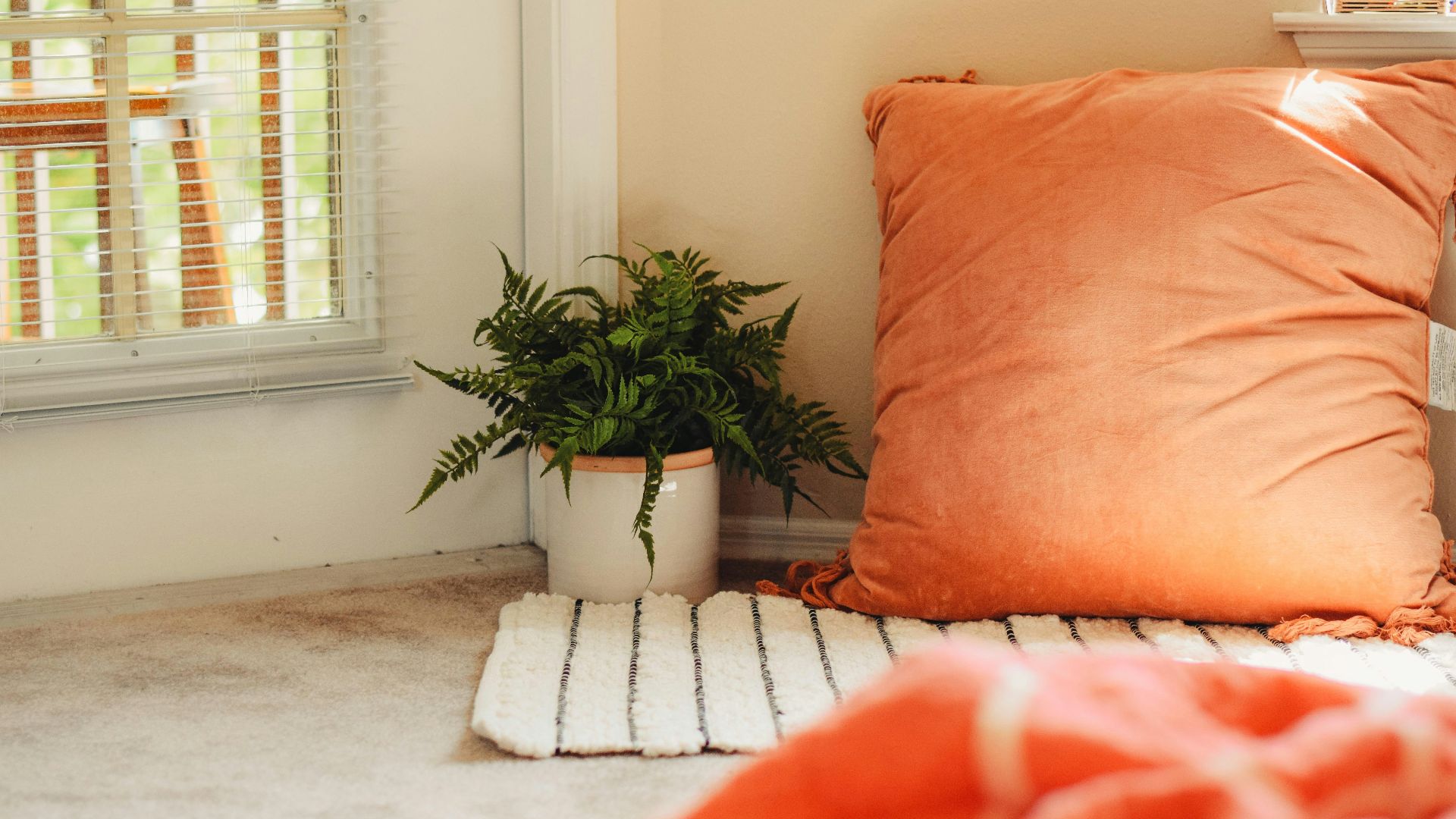 6. Ils tirent parti des angles