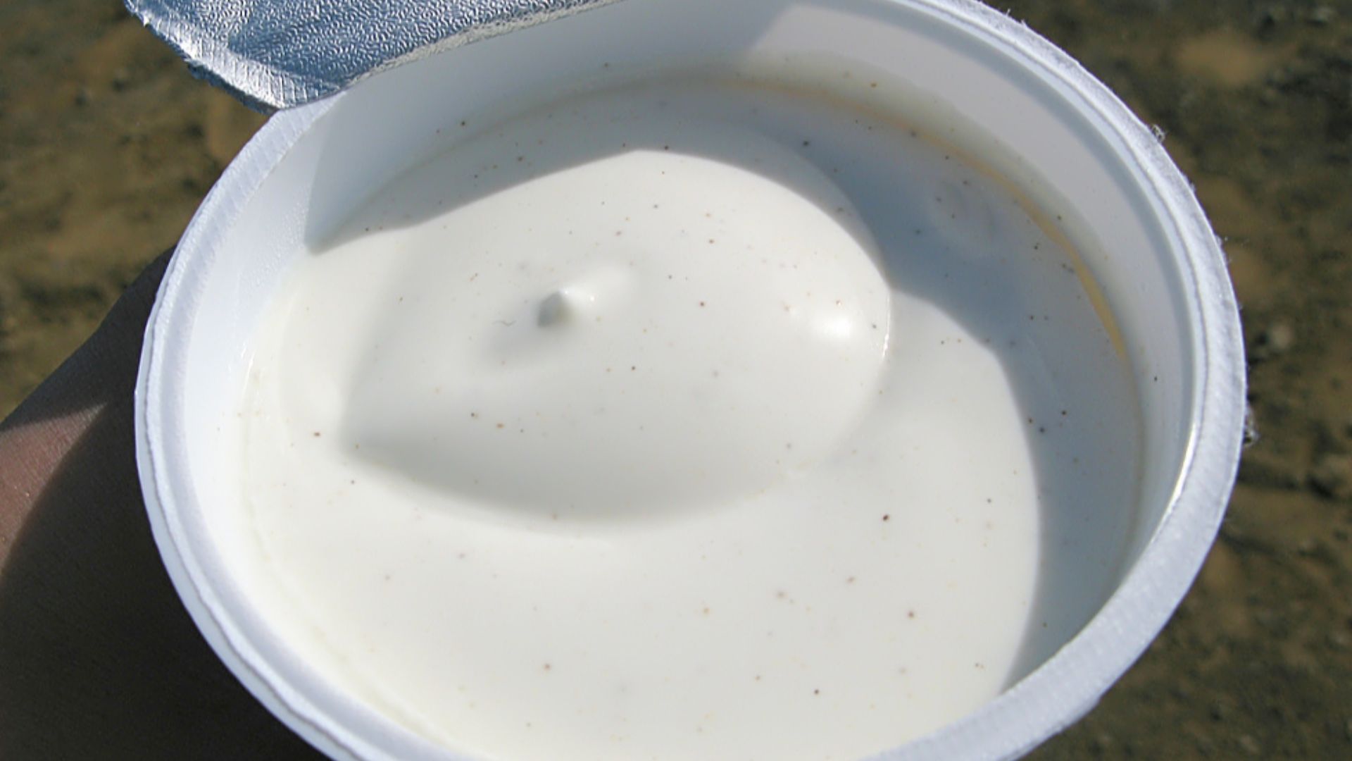 2. Skyr