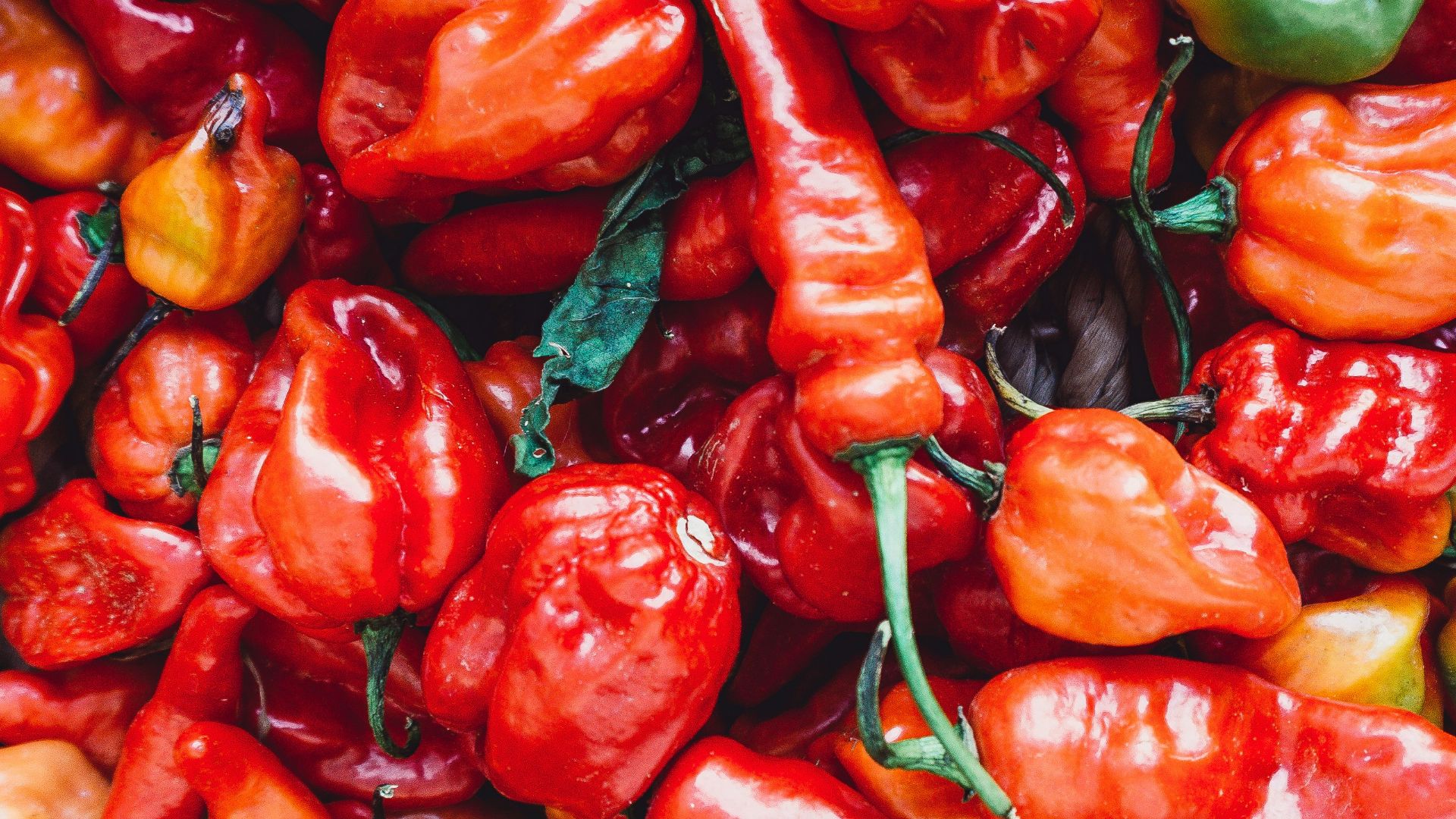 12. Les difficultés liées à la sauce piquante