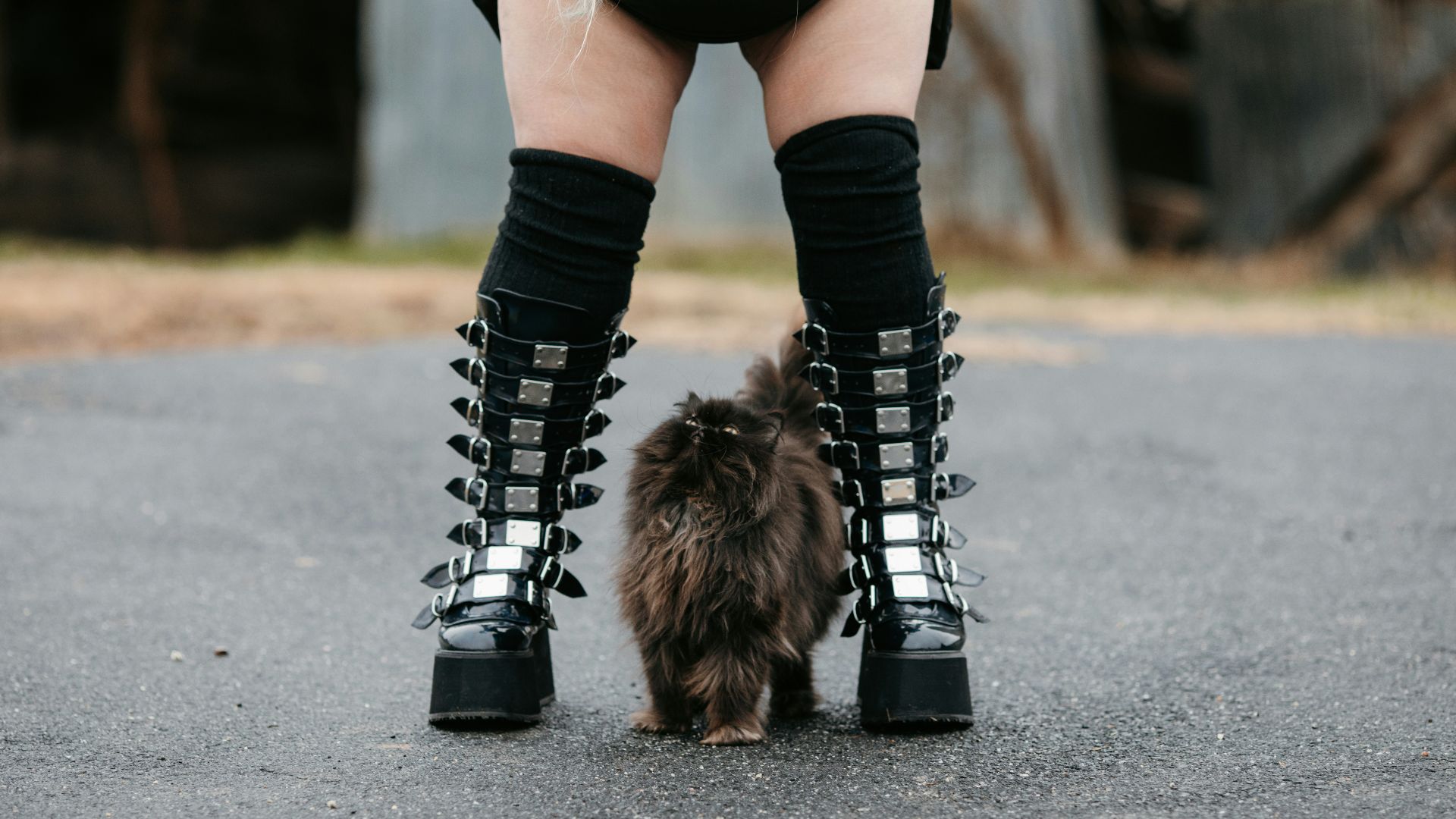 7. Des chaussures qui ne sont pas adaptées à l'occasion