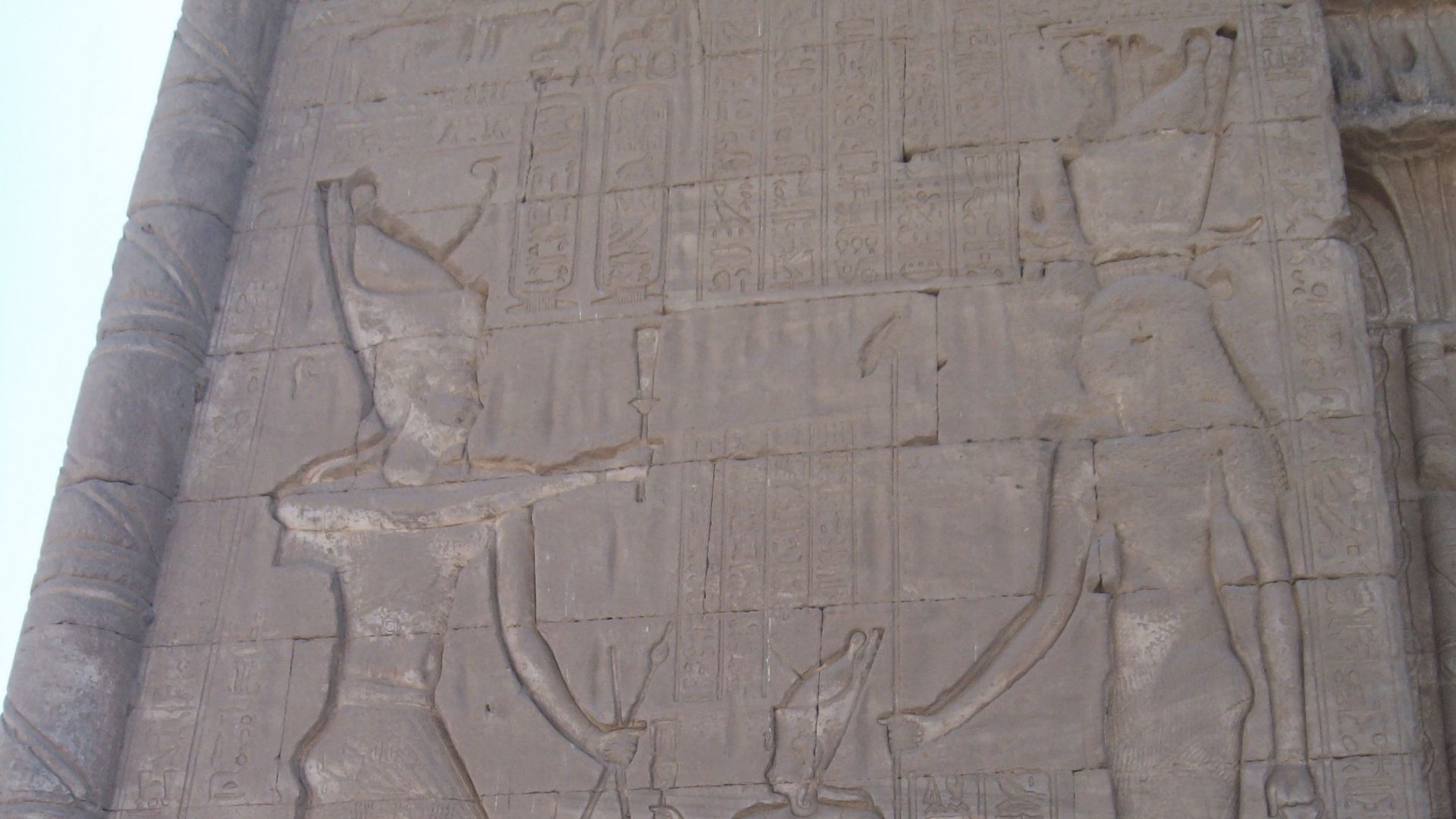 2. Cléopâtre VII et Ptolémée XIV