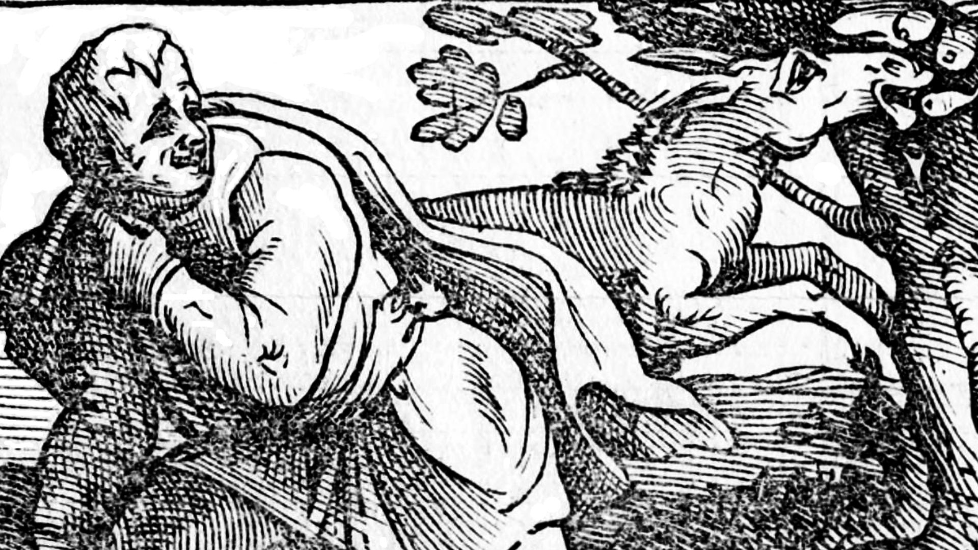 4. Chrysippe et la résilience logique