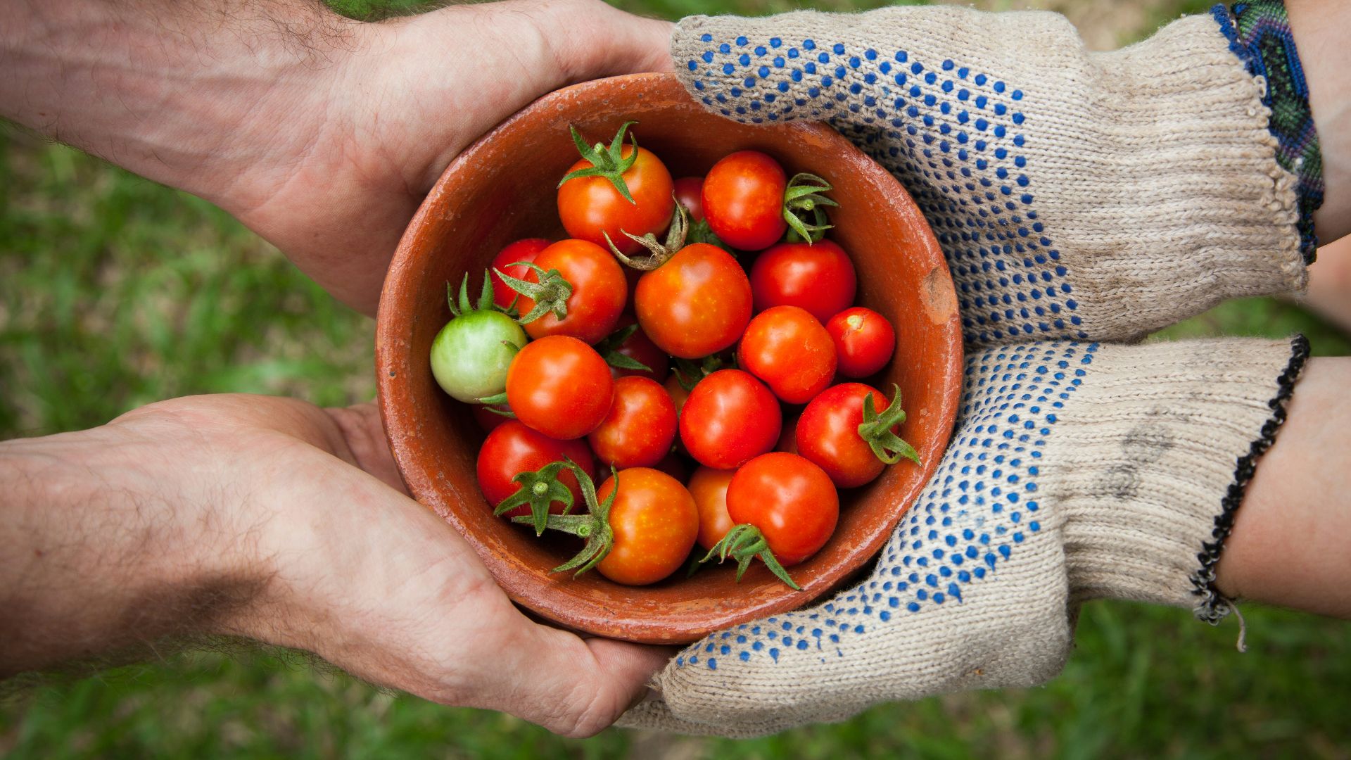 17. Les aliments biologiques sont meilleurs pour la santé